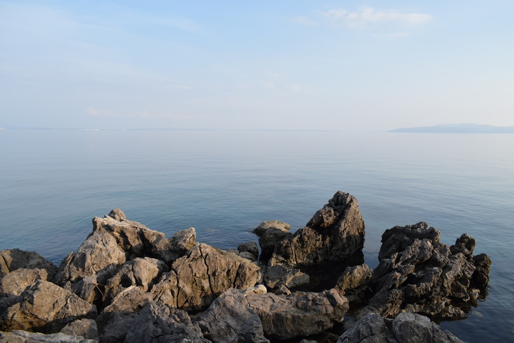 a rocky shore with a body of water in the background