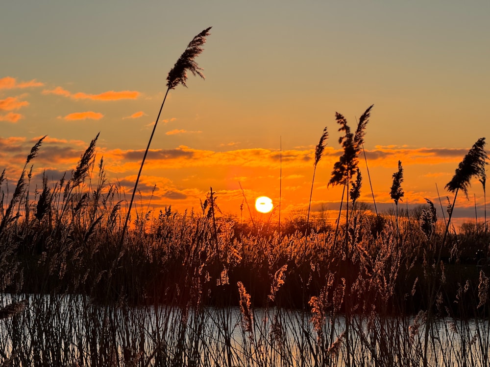 the sun is setting over a body of water