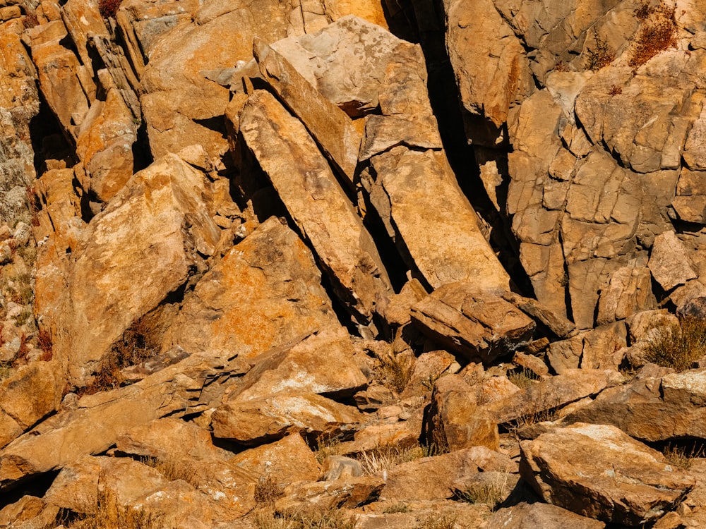 a bird is perched on a rock formation