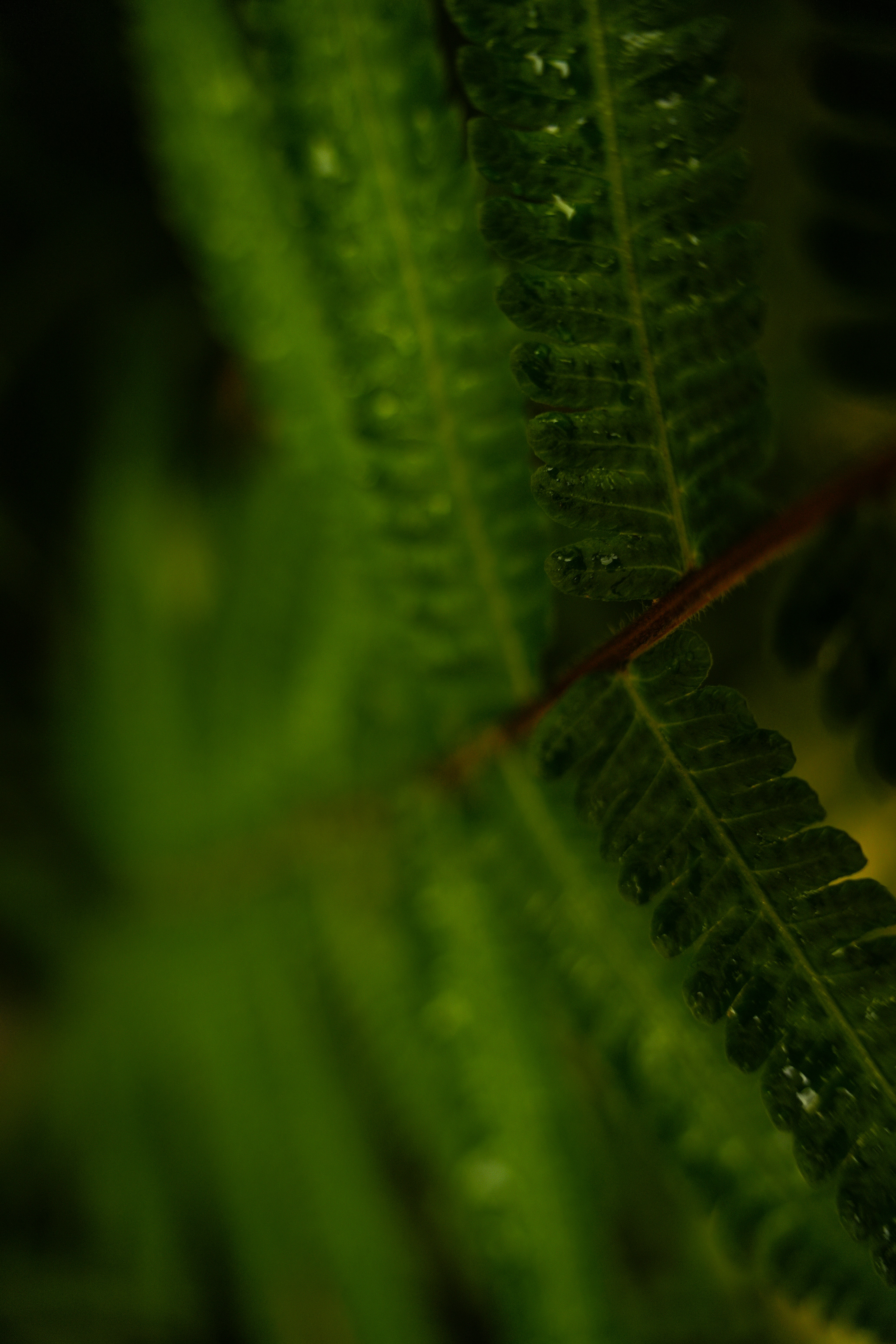 Photo by erica_viana