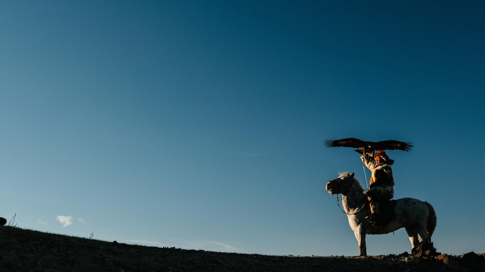 a person on a horse with an eagle on its back