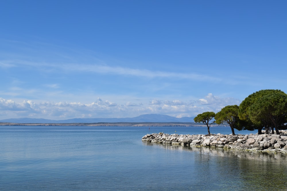 a body of water surrounded by rocks and trees