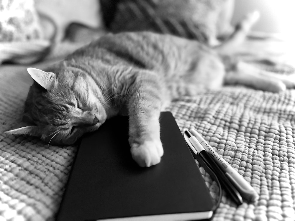 a cat laying on top of a book on a bed