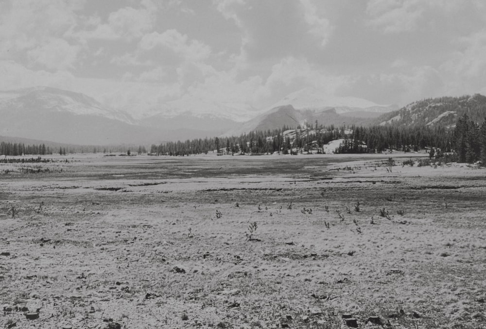 a black and white photo of a field with mountains in the background