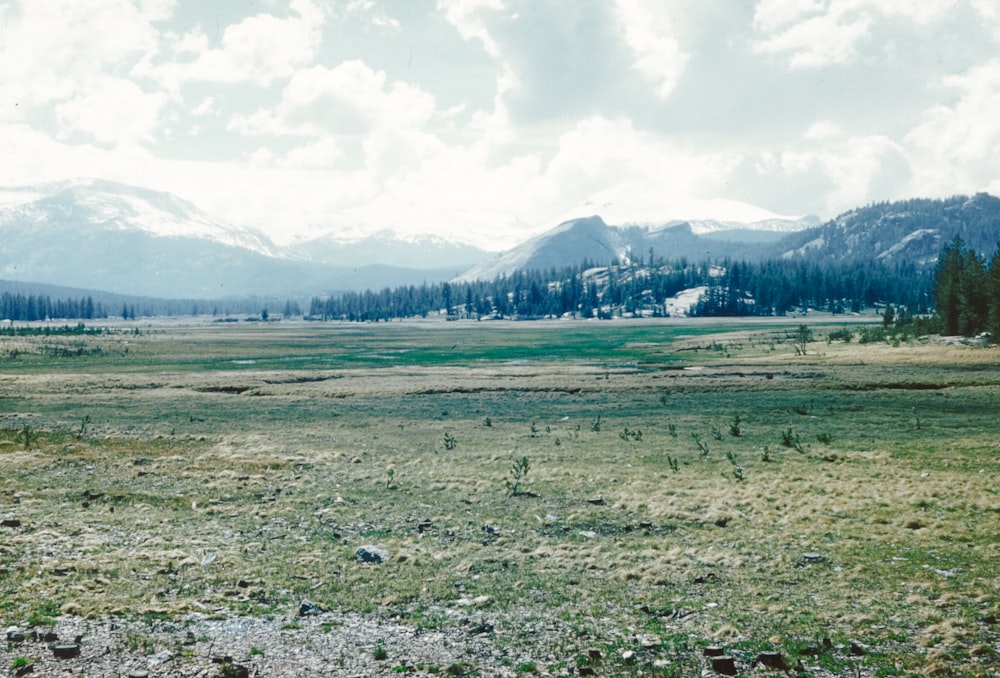 a grassy field with mountains in the background