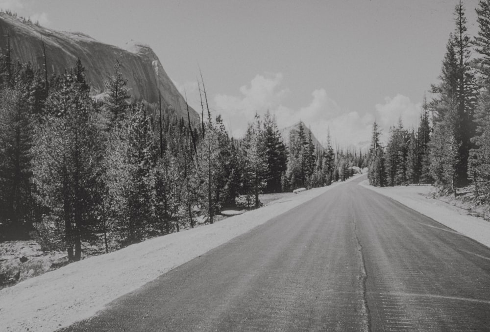 a black and white photo of a road surrounded by trees