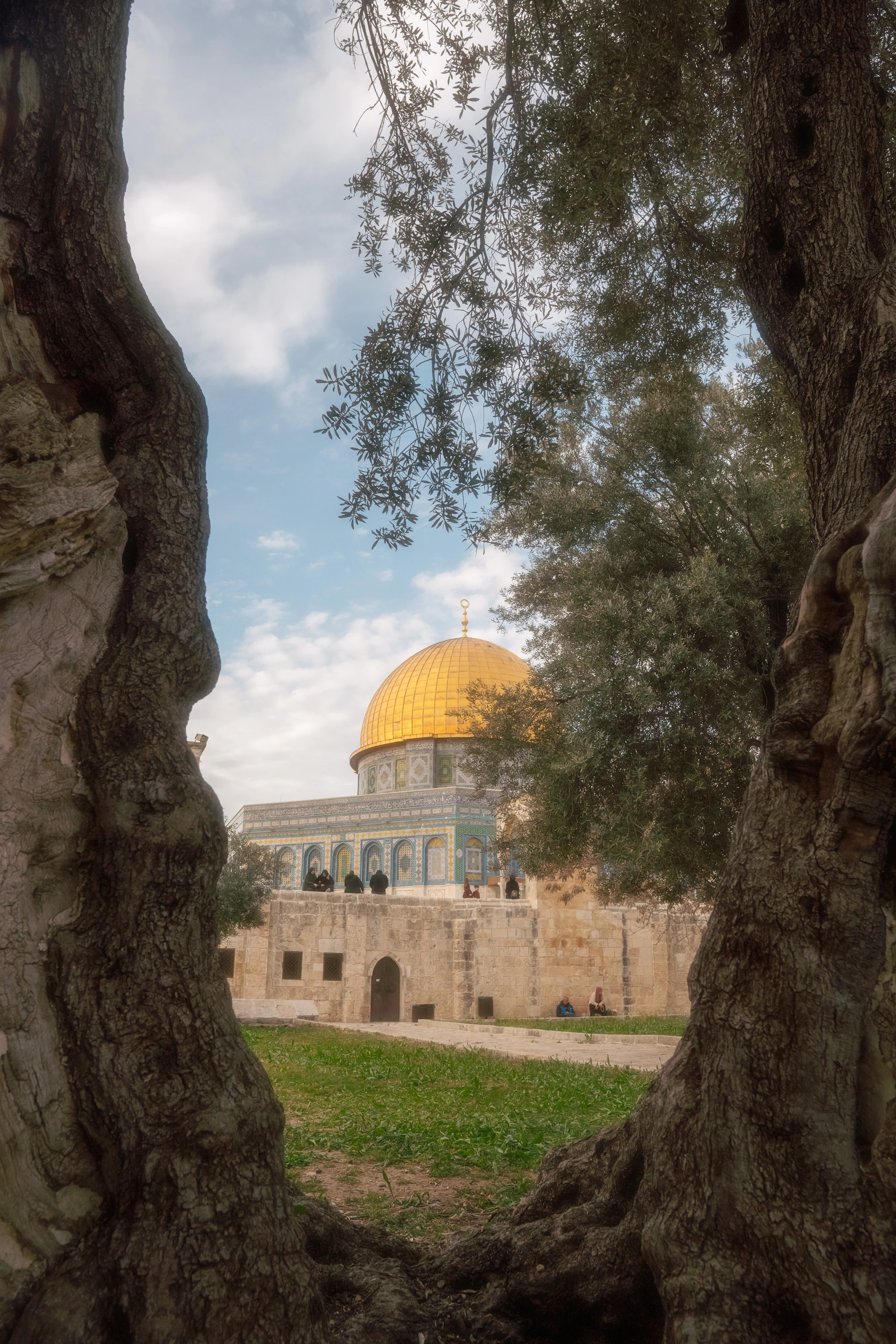 the dome of the rock is seen through the trees
