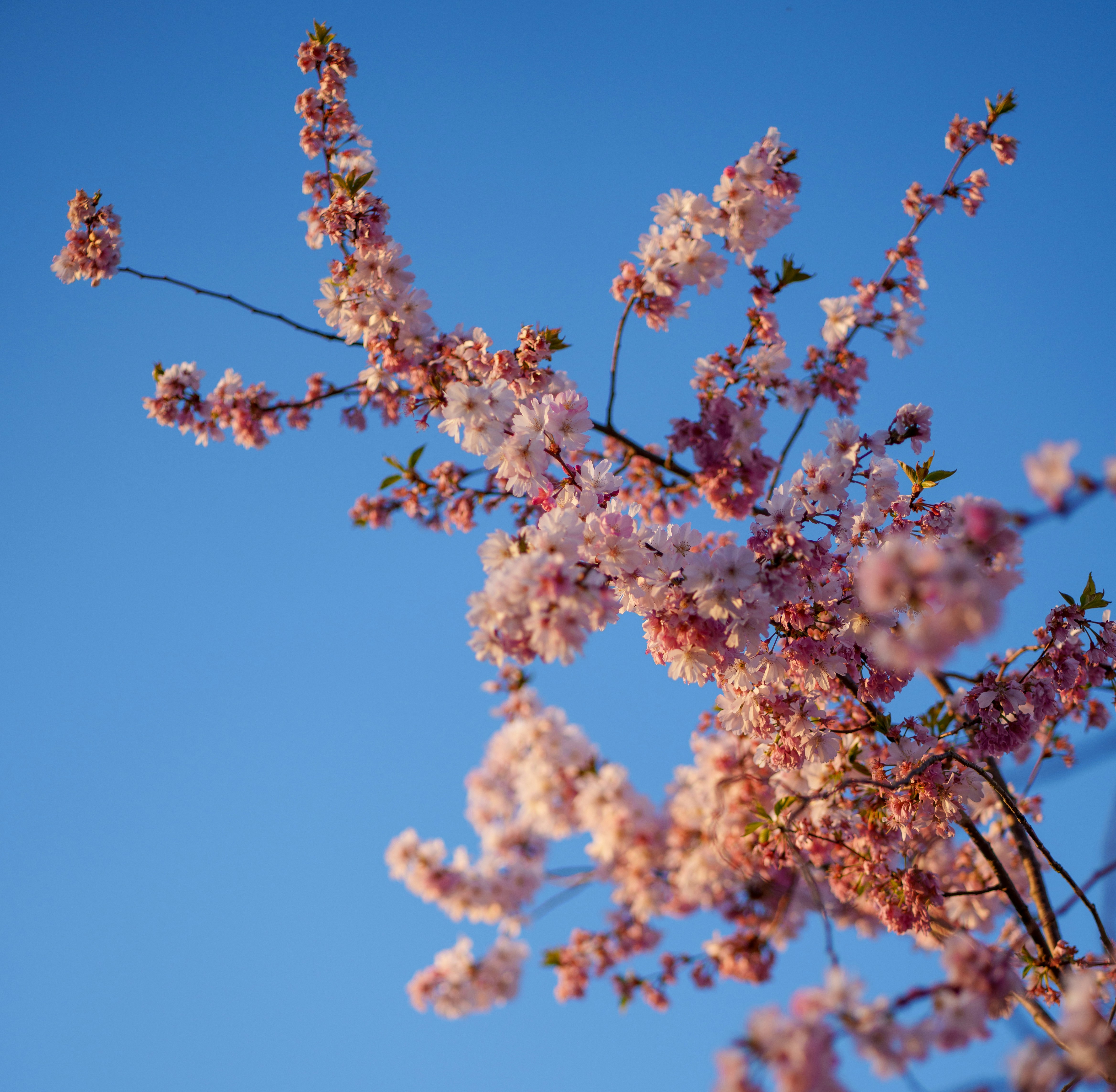 Photo by maverick2001