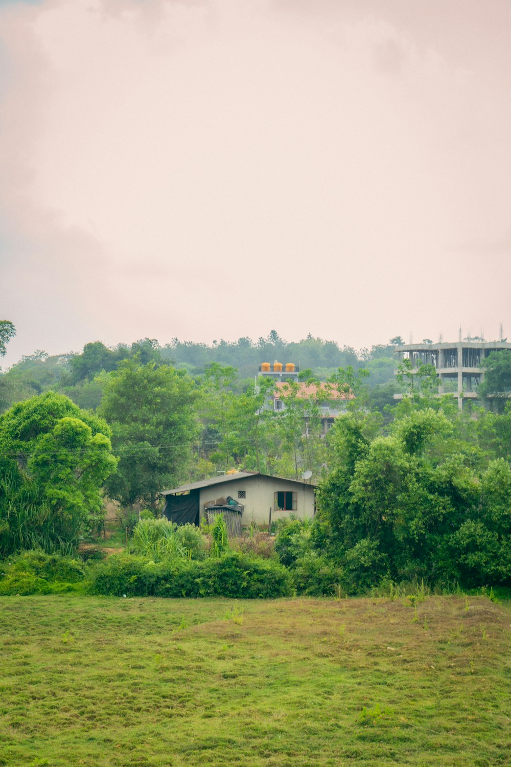 a house in the middle of a lush green field