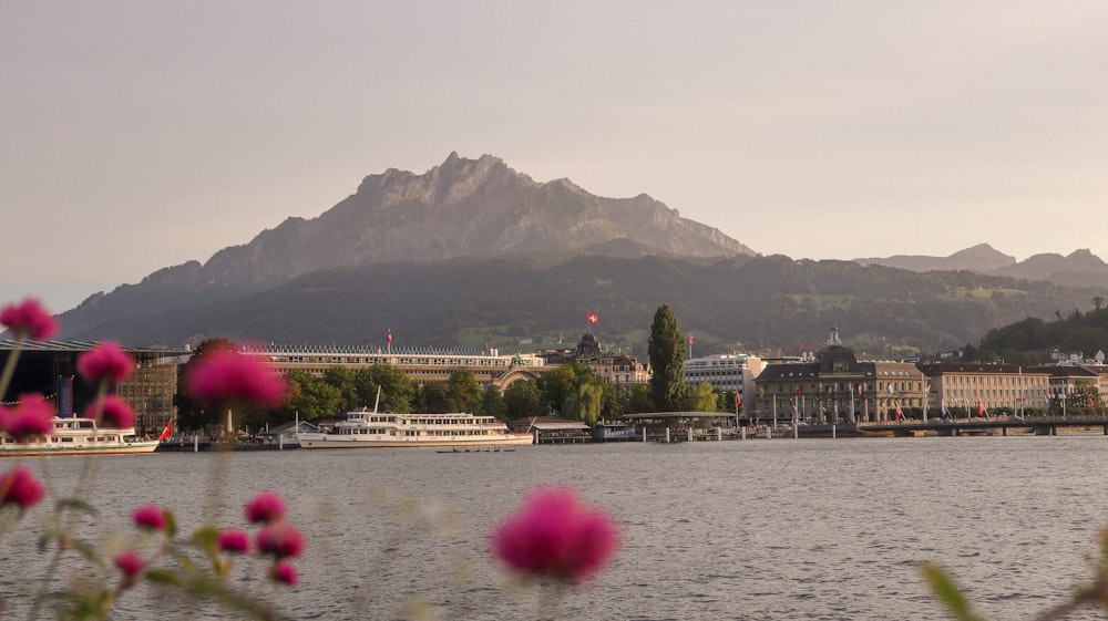 a large body of water with a mountain in the background