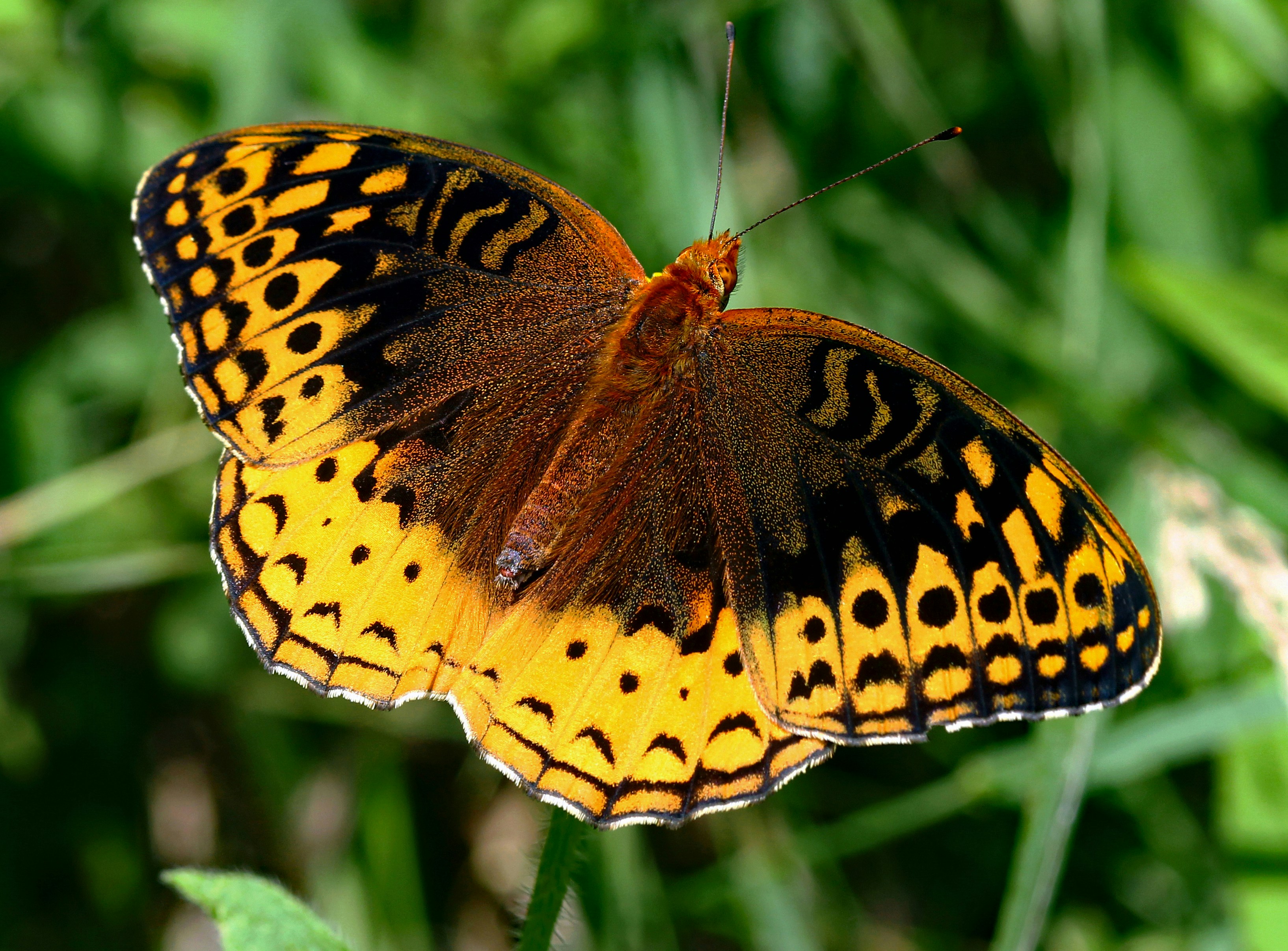 Photo by telliottmbamsc