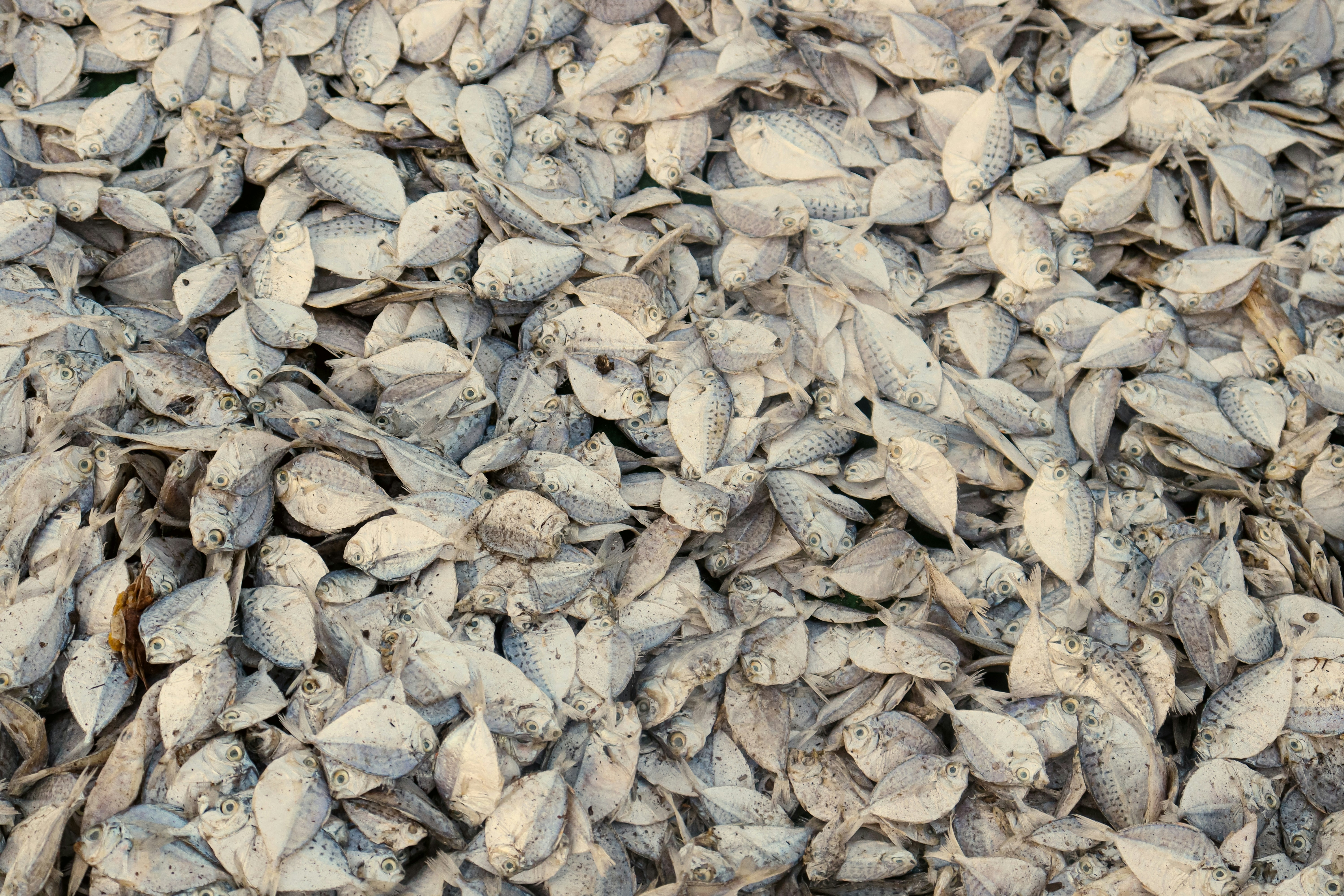 Photo by manish_mk100