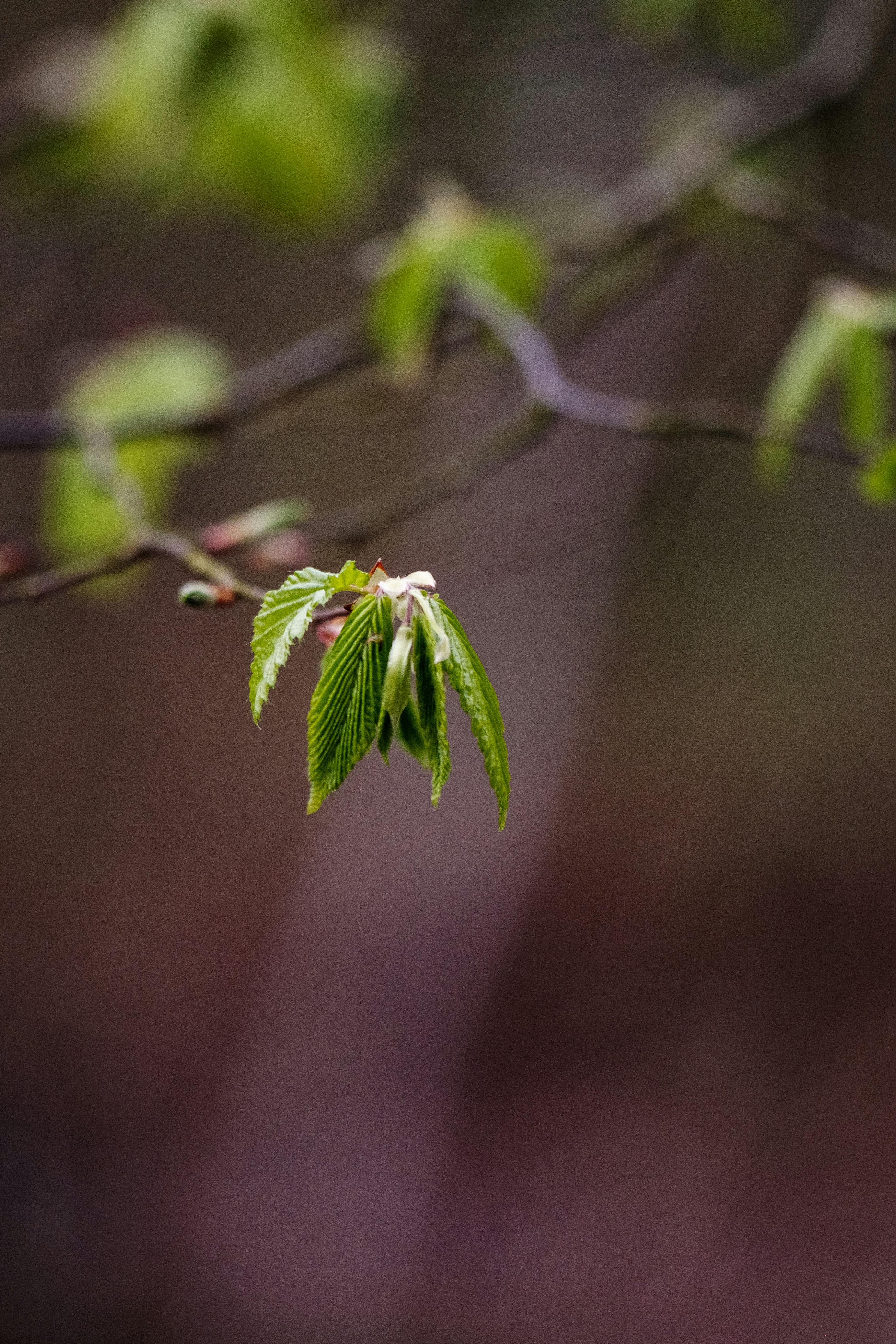 Photo by haberdoedas2