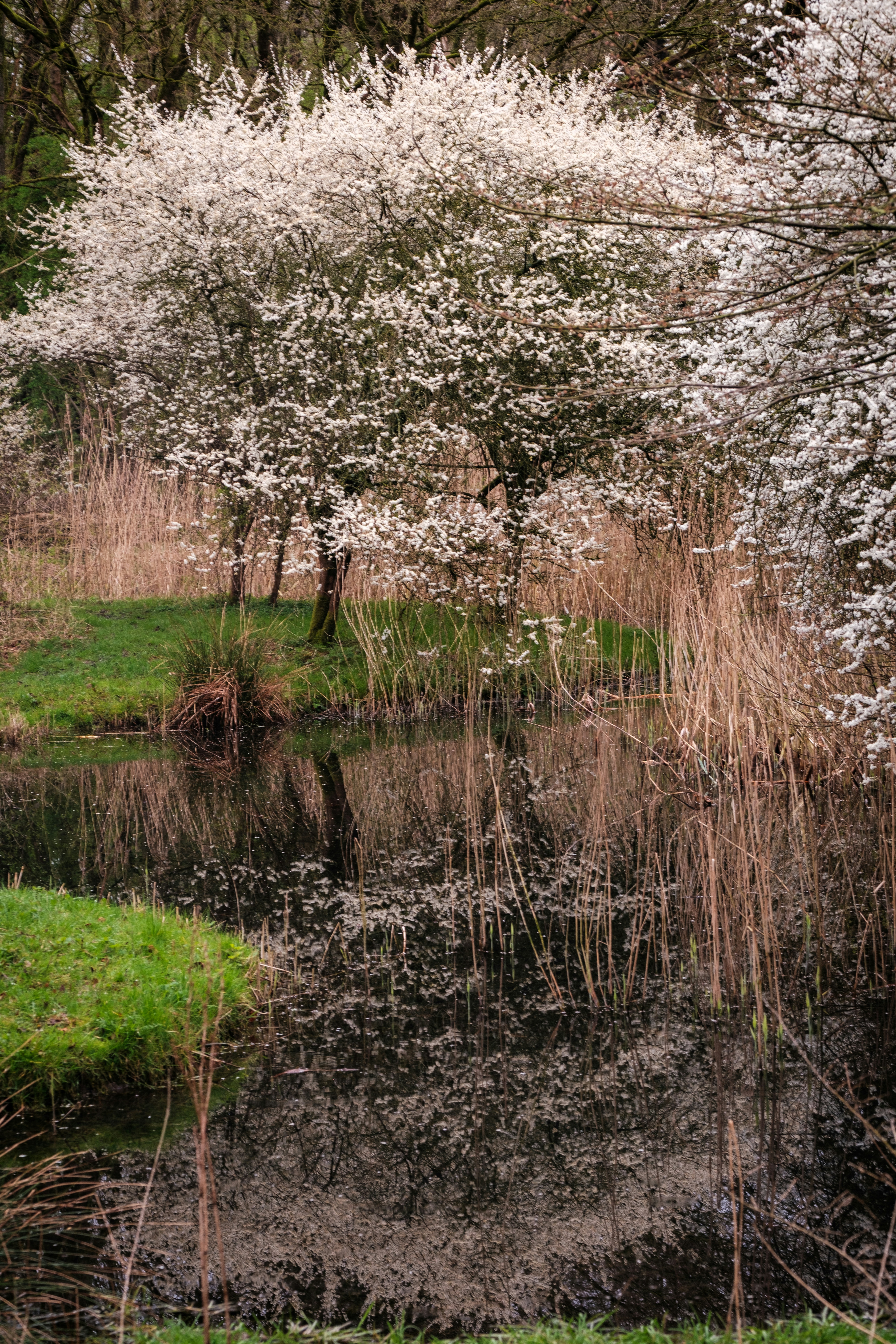 Photo by haberdoedas2