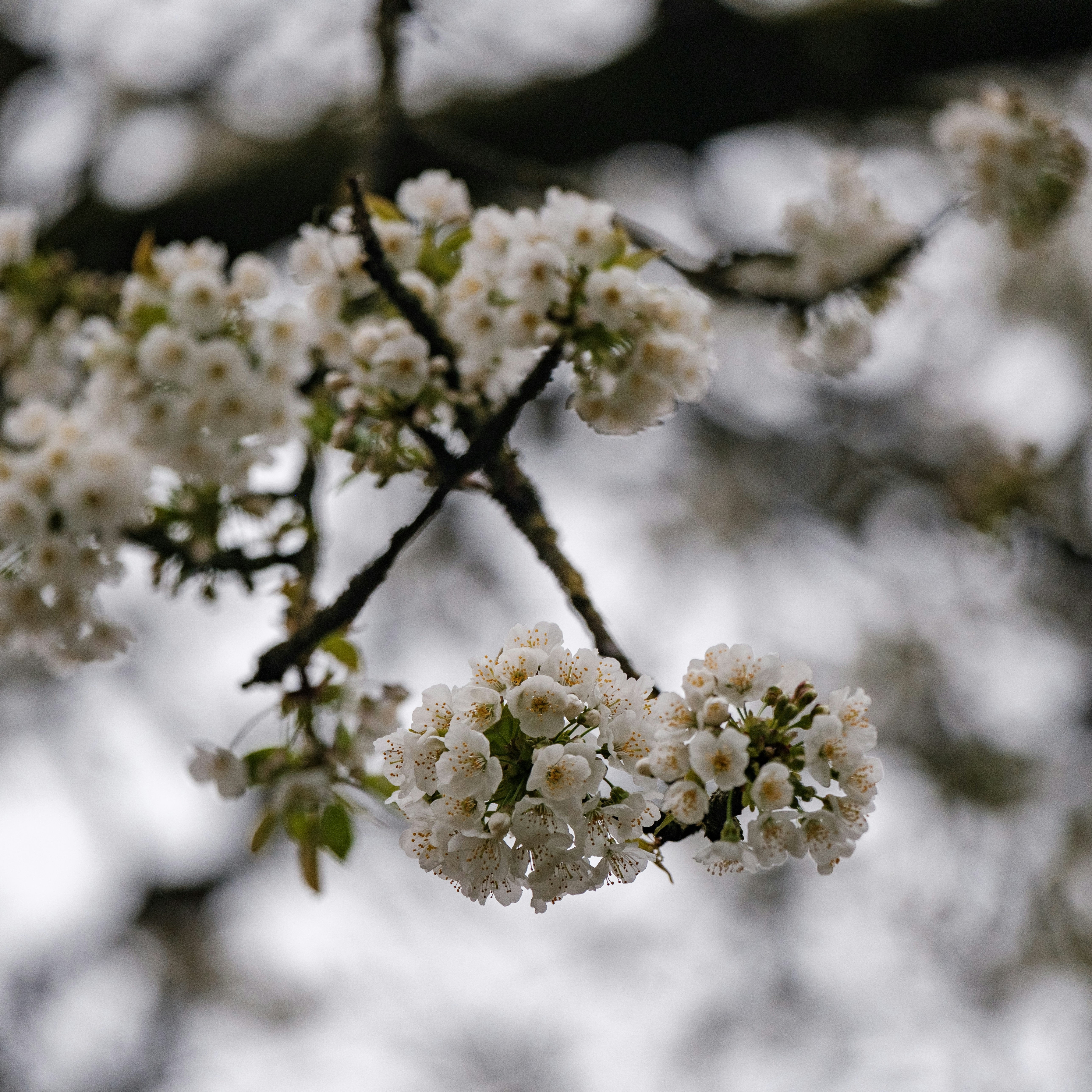 Photo by haberdoedas2