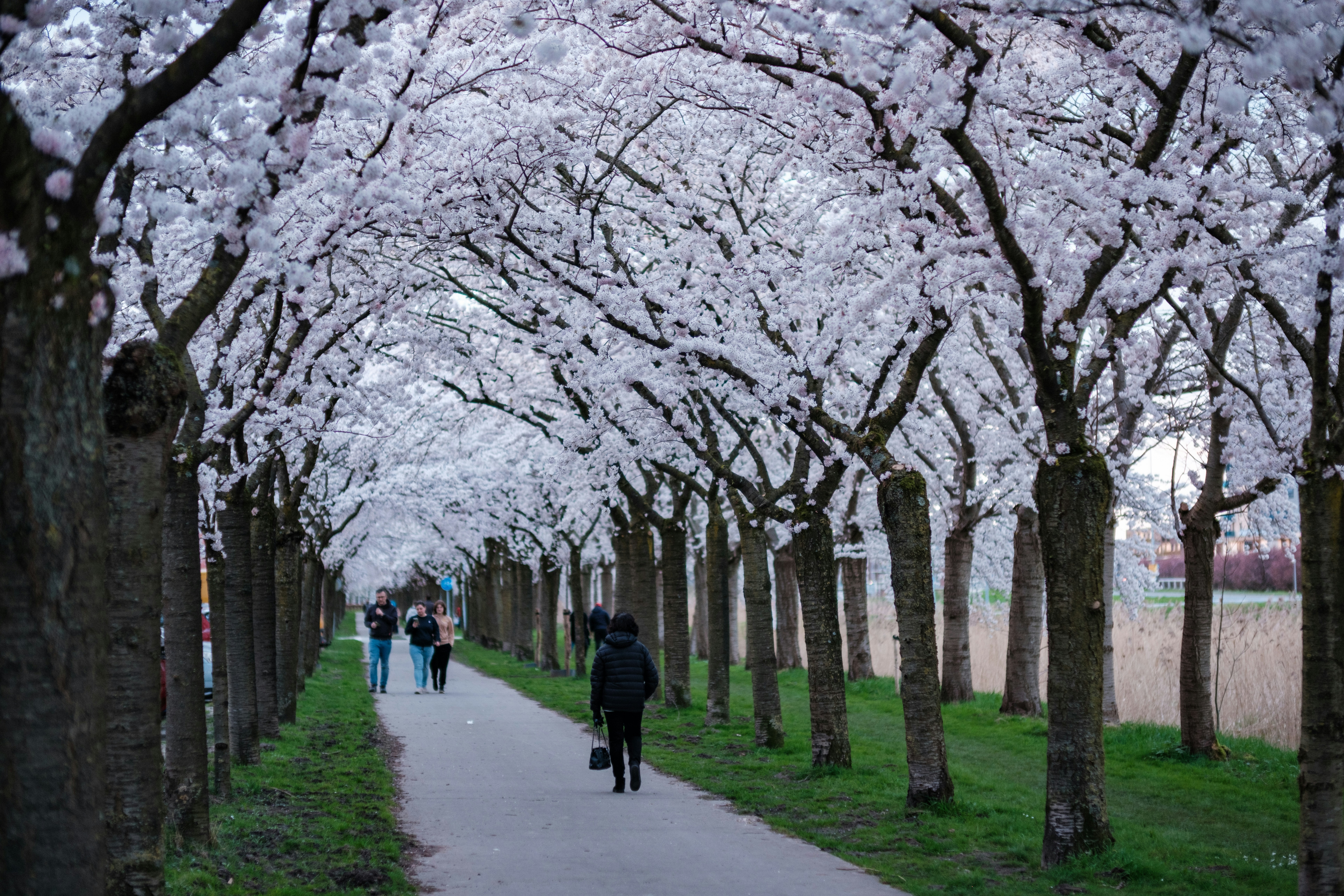 Photo by haberdoedas2