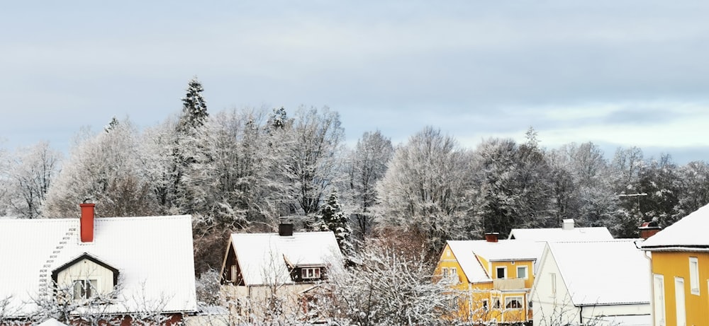 a snow covered town with trees in the background