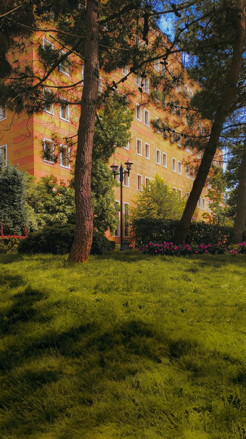 a park bench in front of a tall building