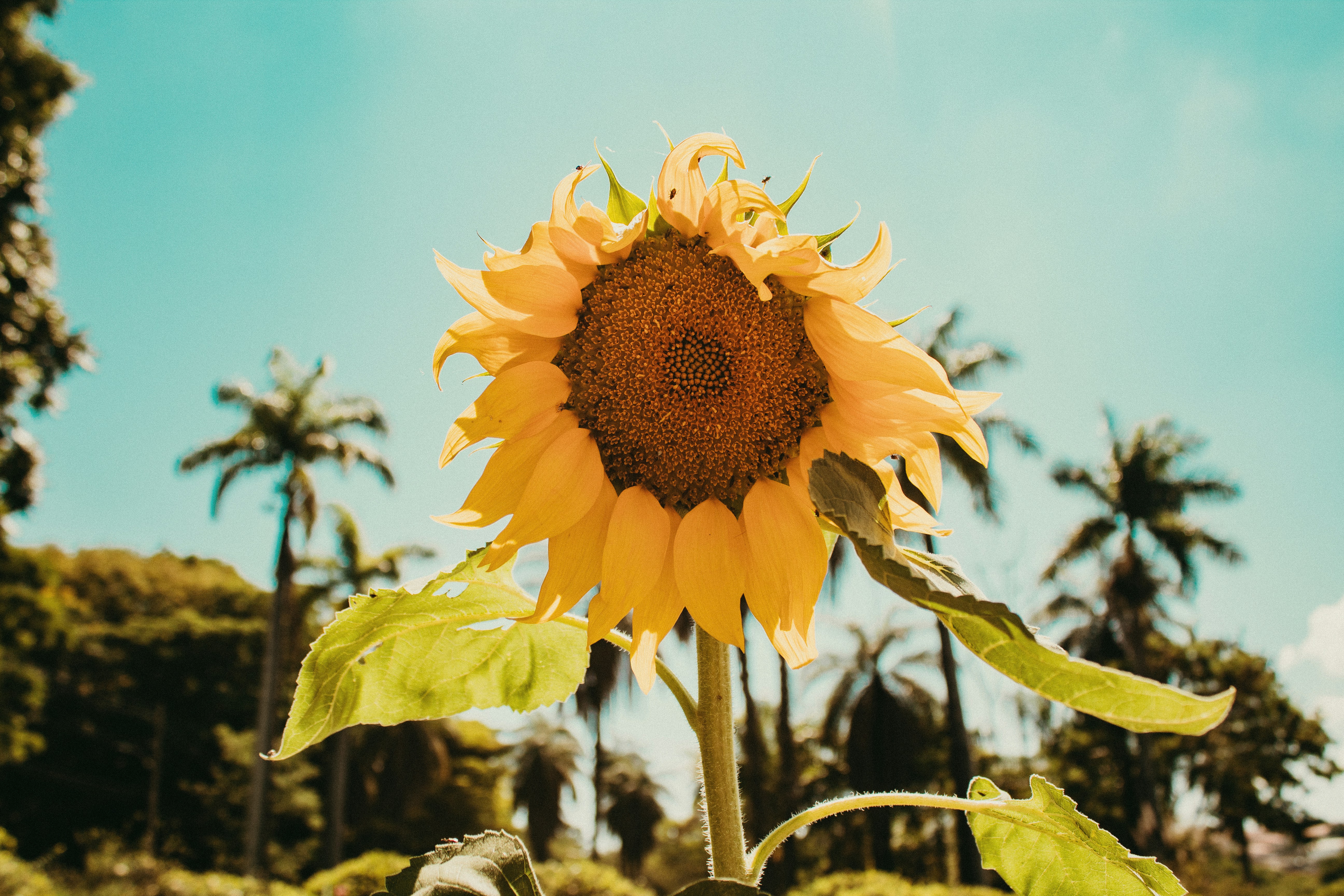 Photo by stephsviana