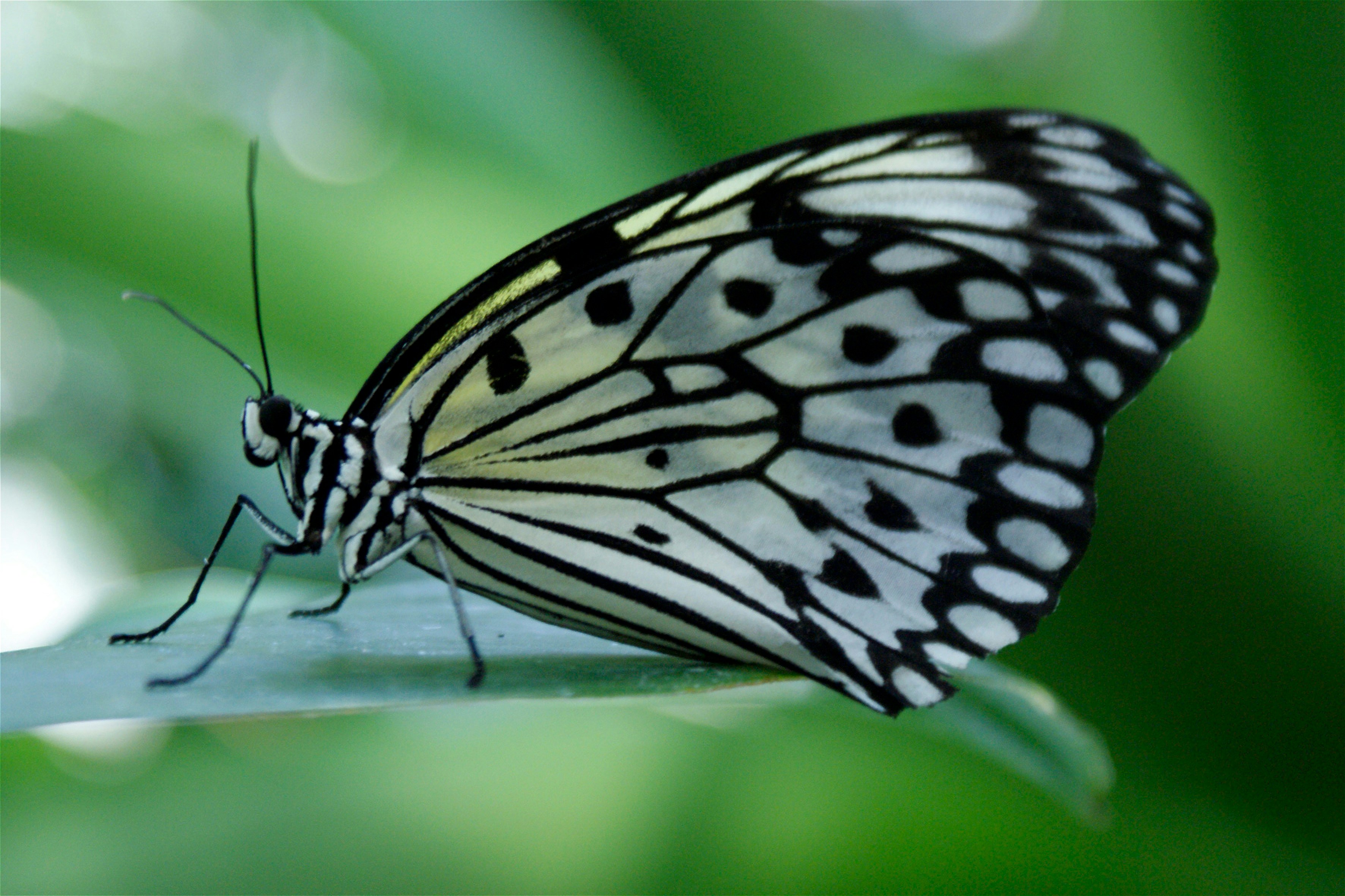 Photo by nataliagasiorowska