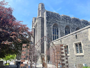 a tall building with a clock tower next to a tree