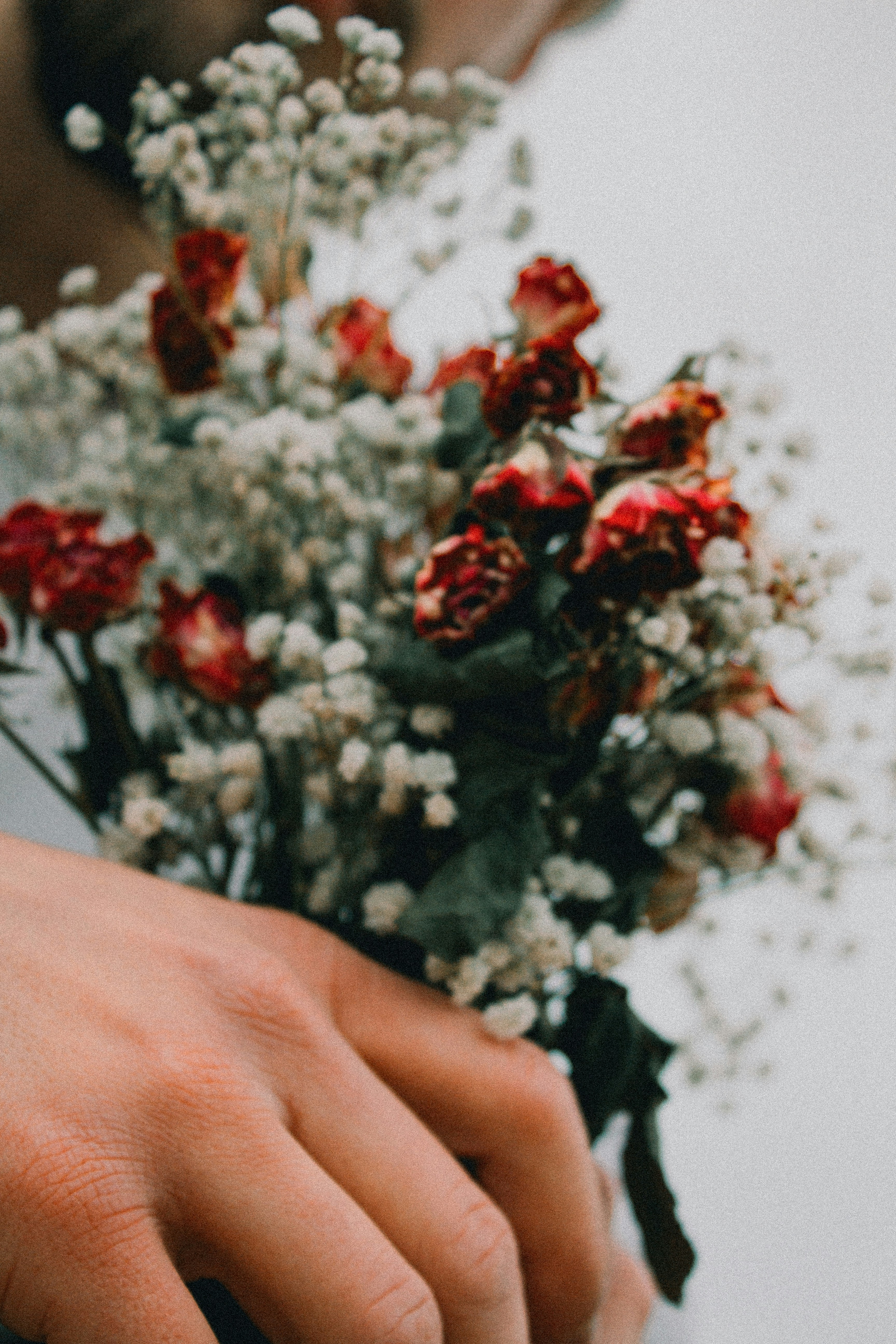 Photo by maximyuryshev