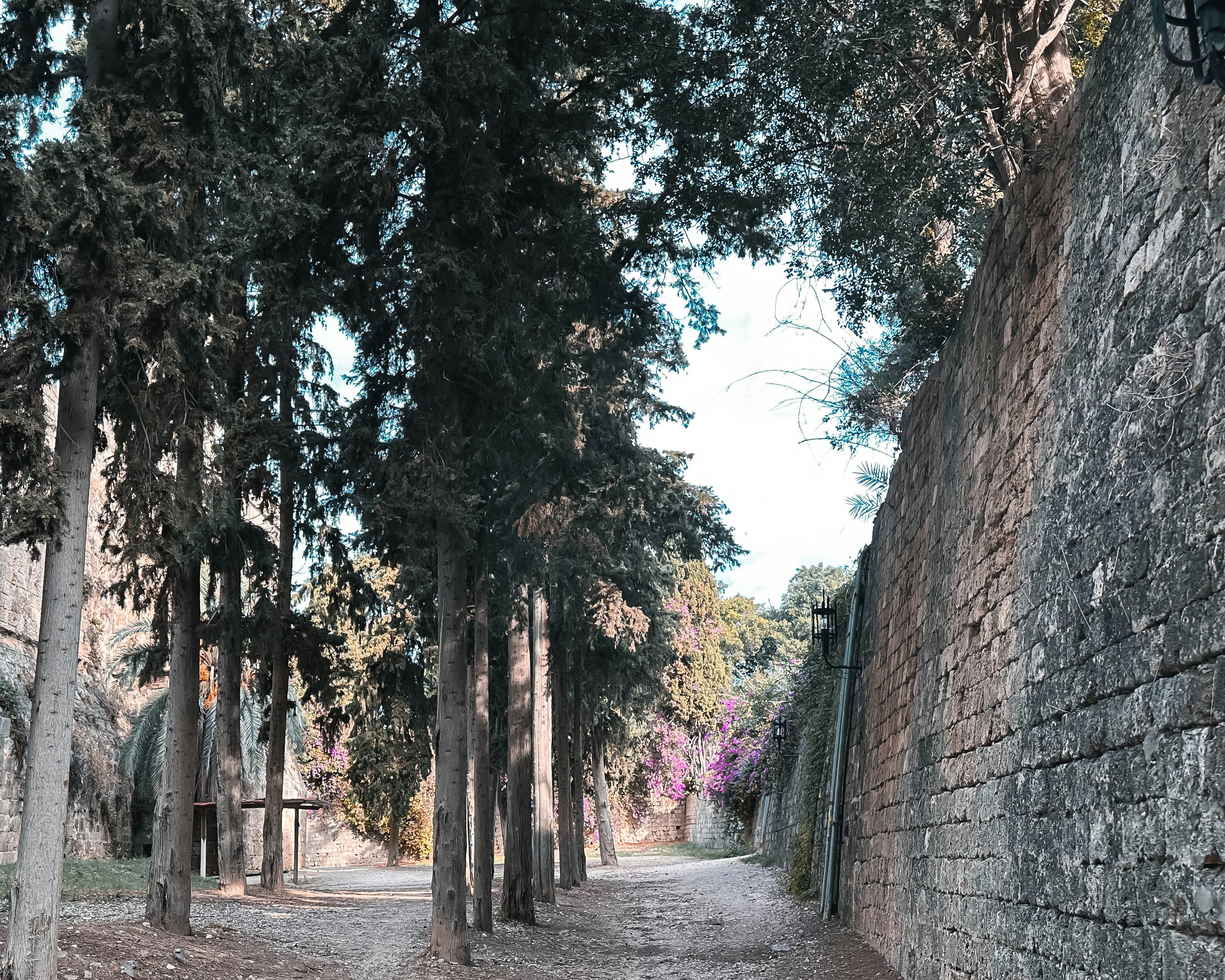 Photo by mancunianrookie