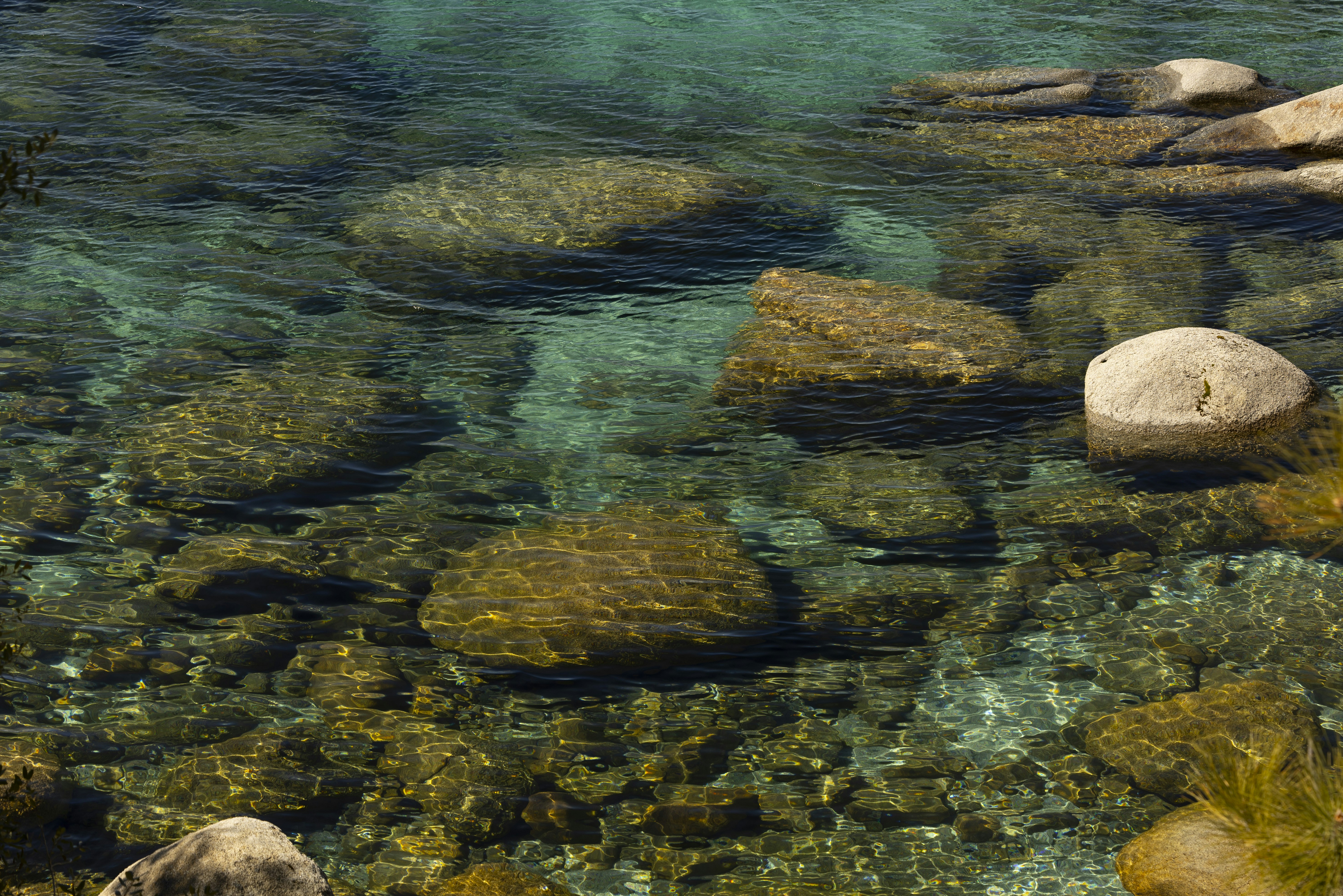 Photo by leo_visions_