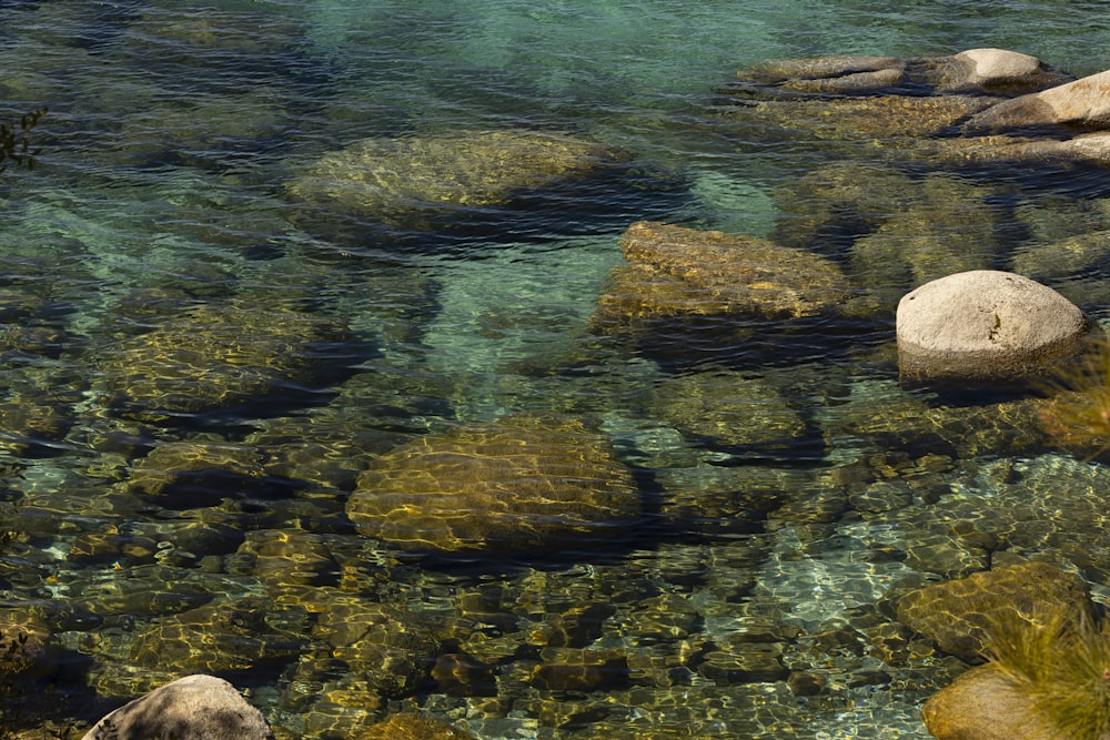 a body of water surrounded by rocks and grass