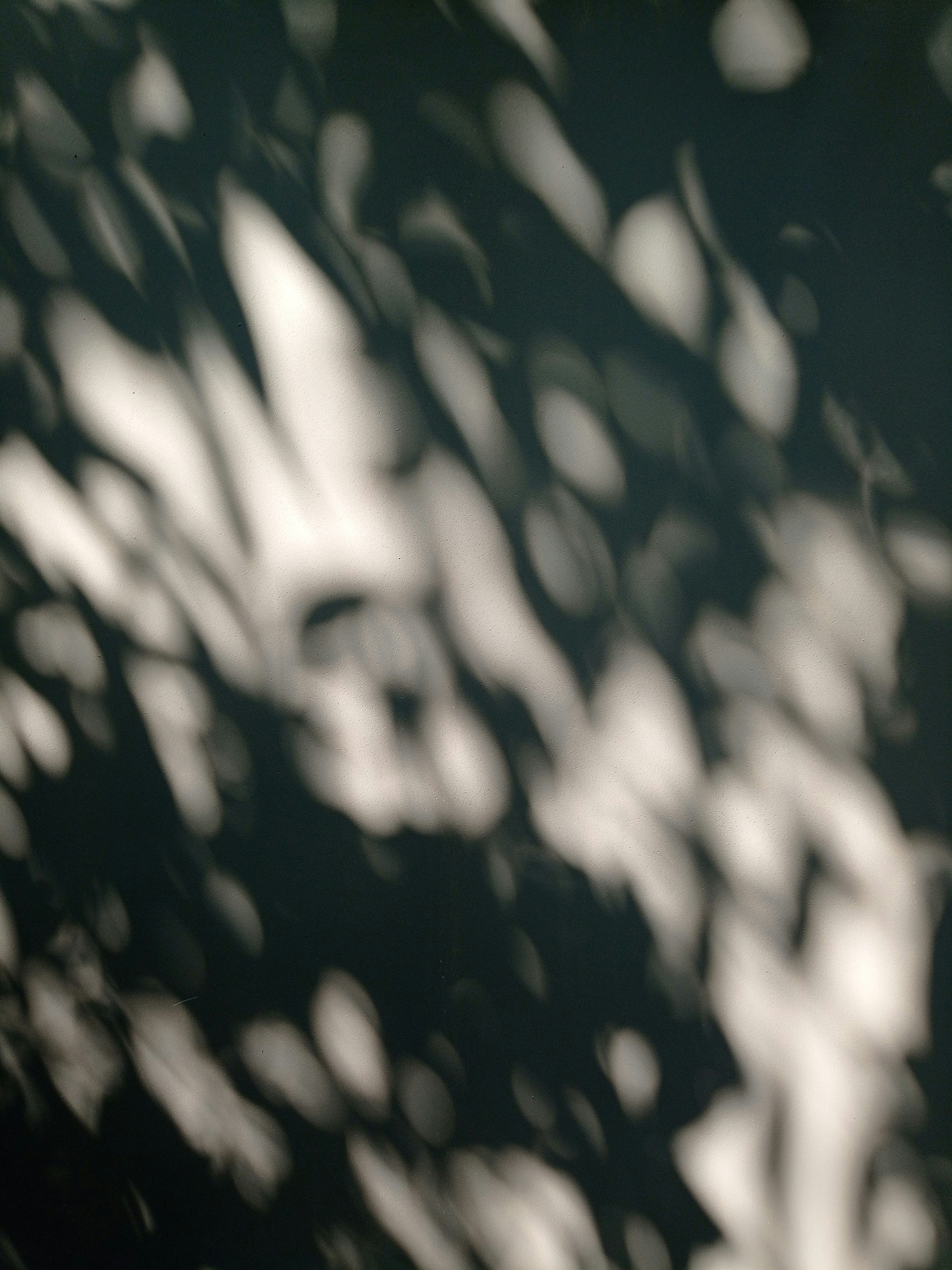 Photo by _zannu_3336