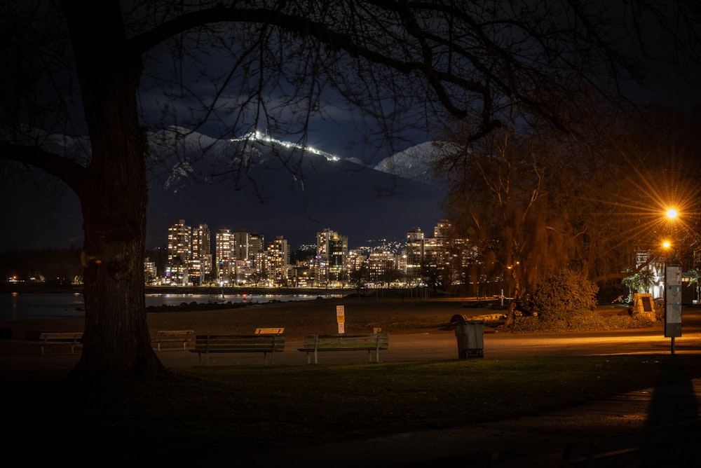 a view of a city at night from a park