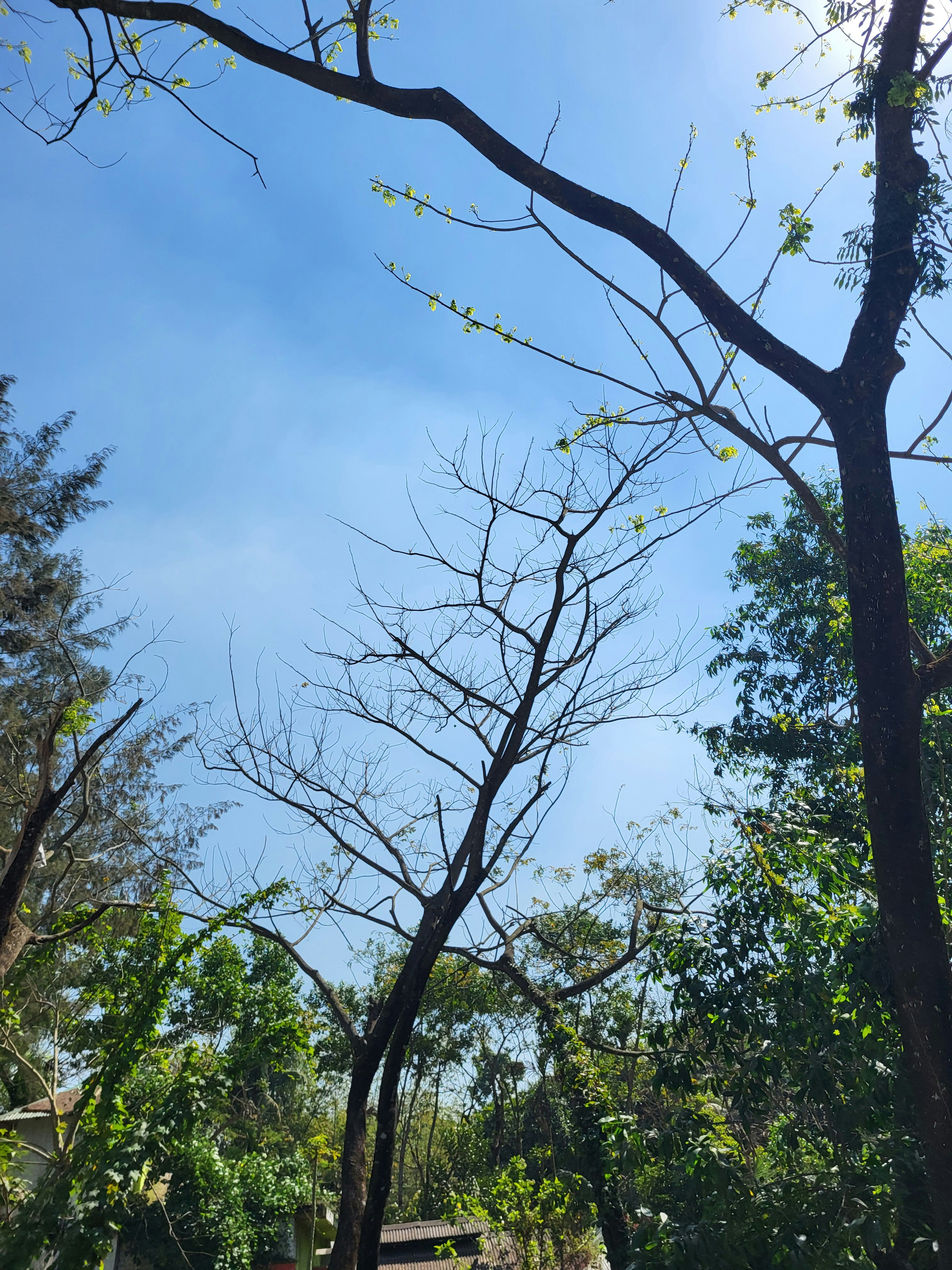Photo by rayhanxxd