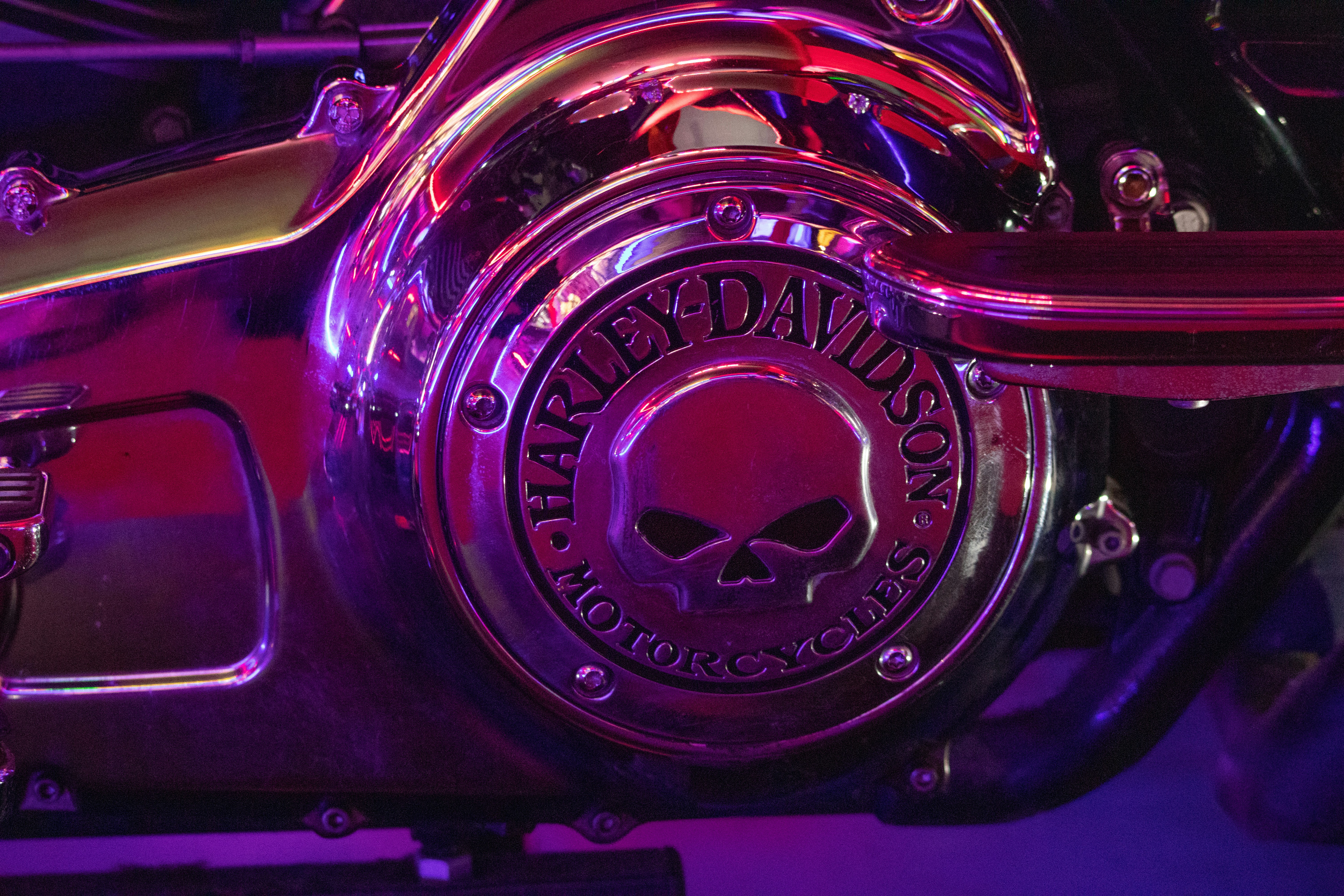 a close up of a motorcycle with a skull on it