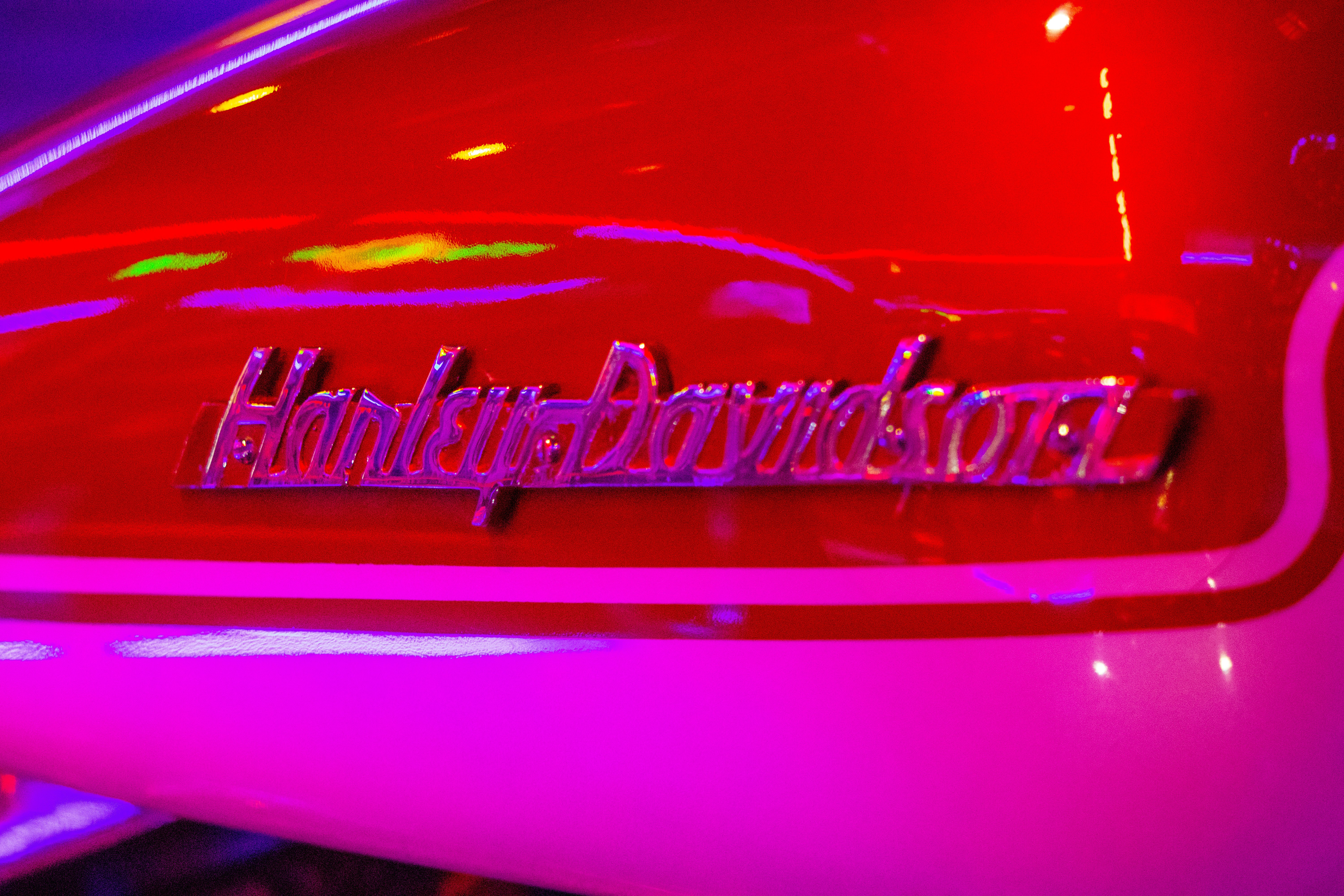 a close up of a motorcycle with the word thunderbird on it