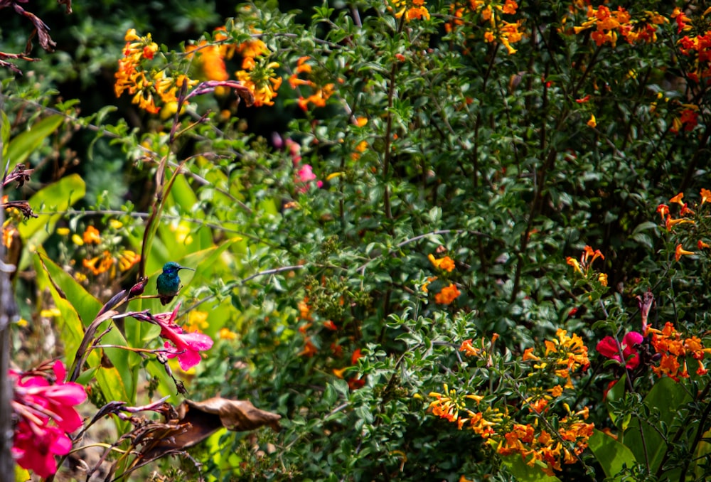 a bird is sitting on a branch in a garden