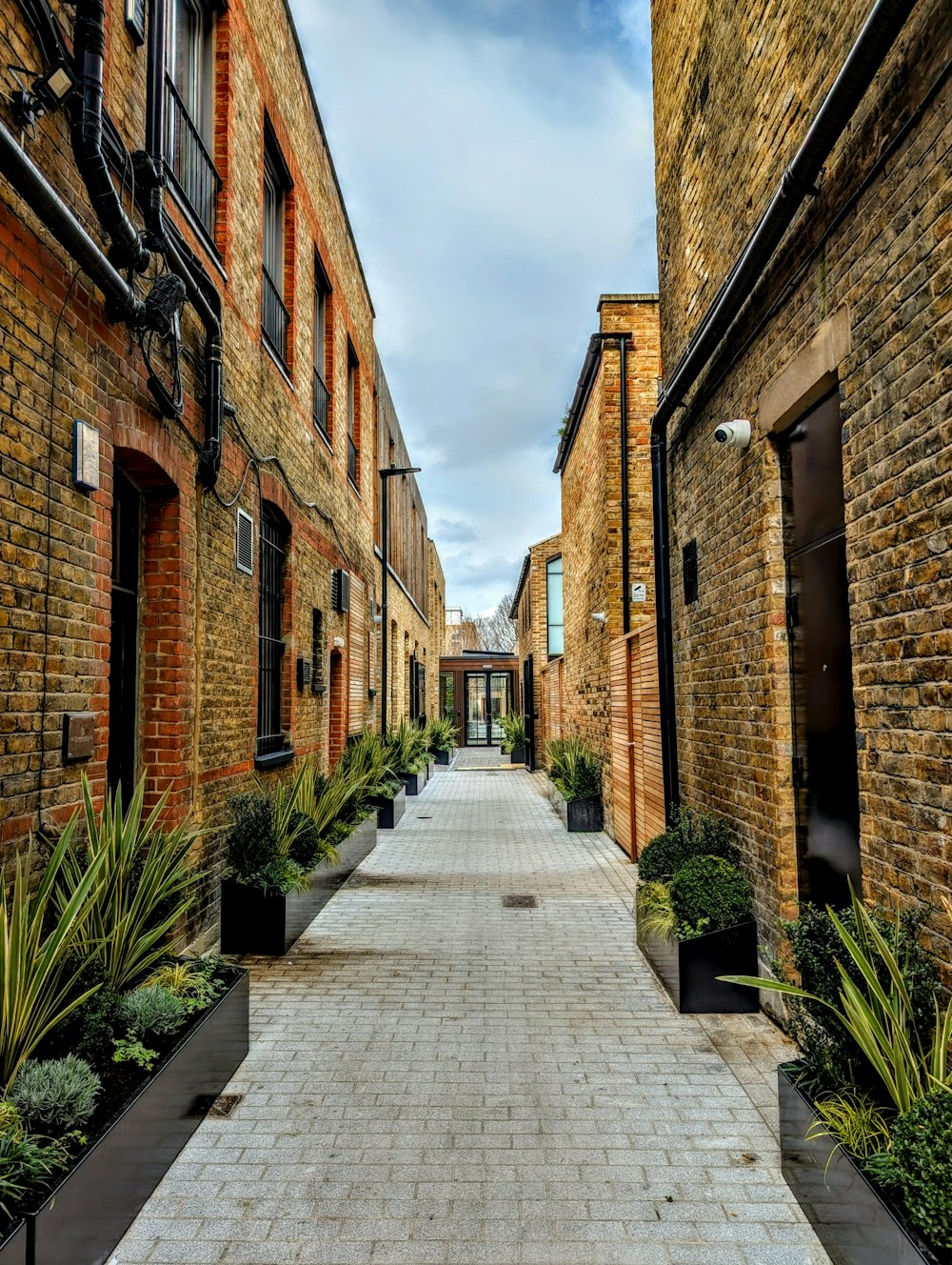 a narrow brick street lined with potted plants