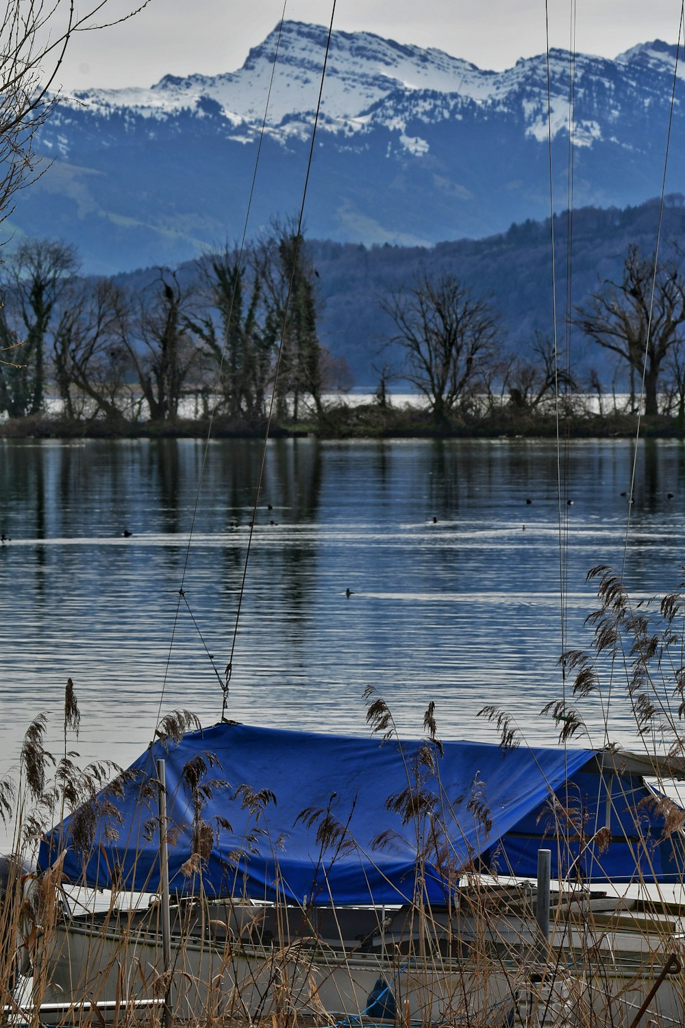 a blue tarp sitting on the side of a lake