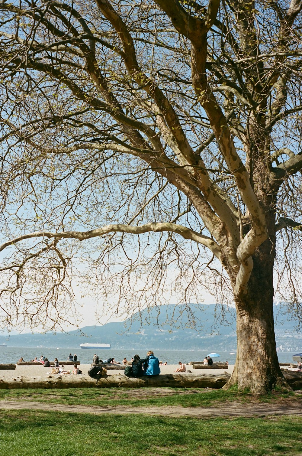 a group of people sitting on a bench under a tree