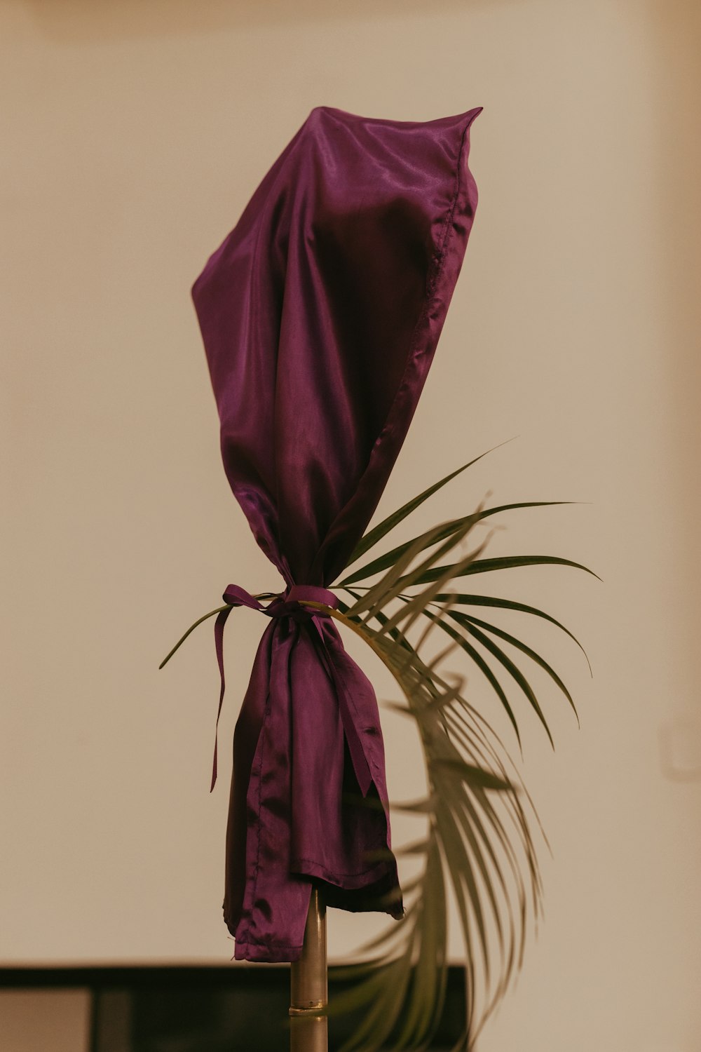 uma planta com um pano roxo amarrado em torno dela