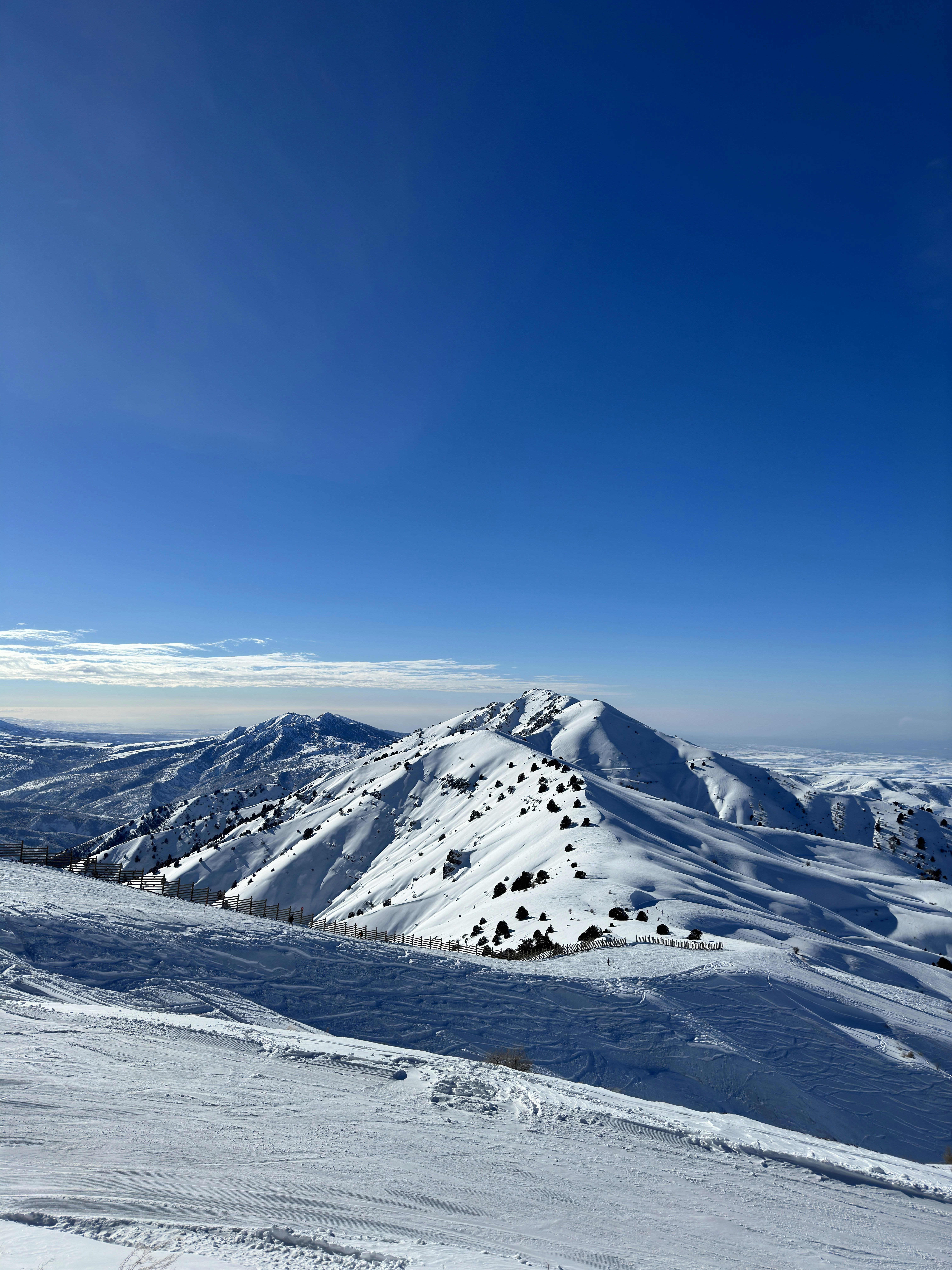 Photo by farruhabdujabborov