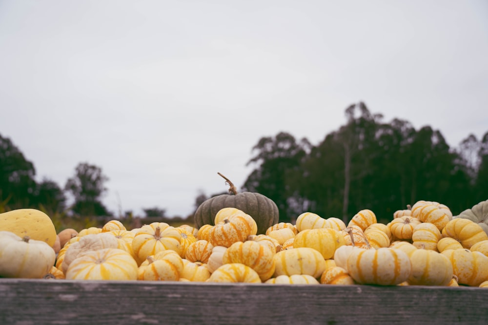 a pile of pumpkins sitting on top of a wooden crate