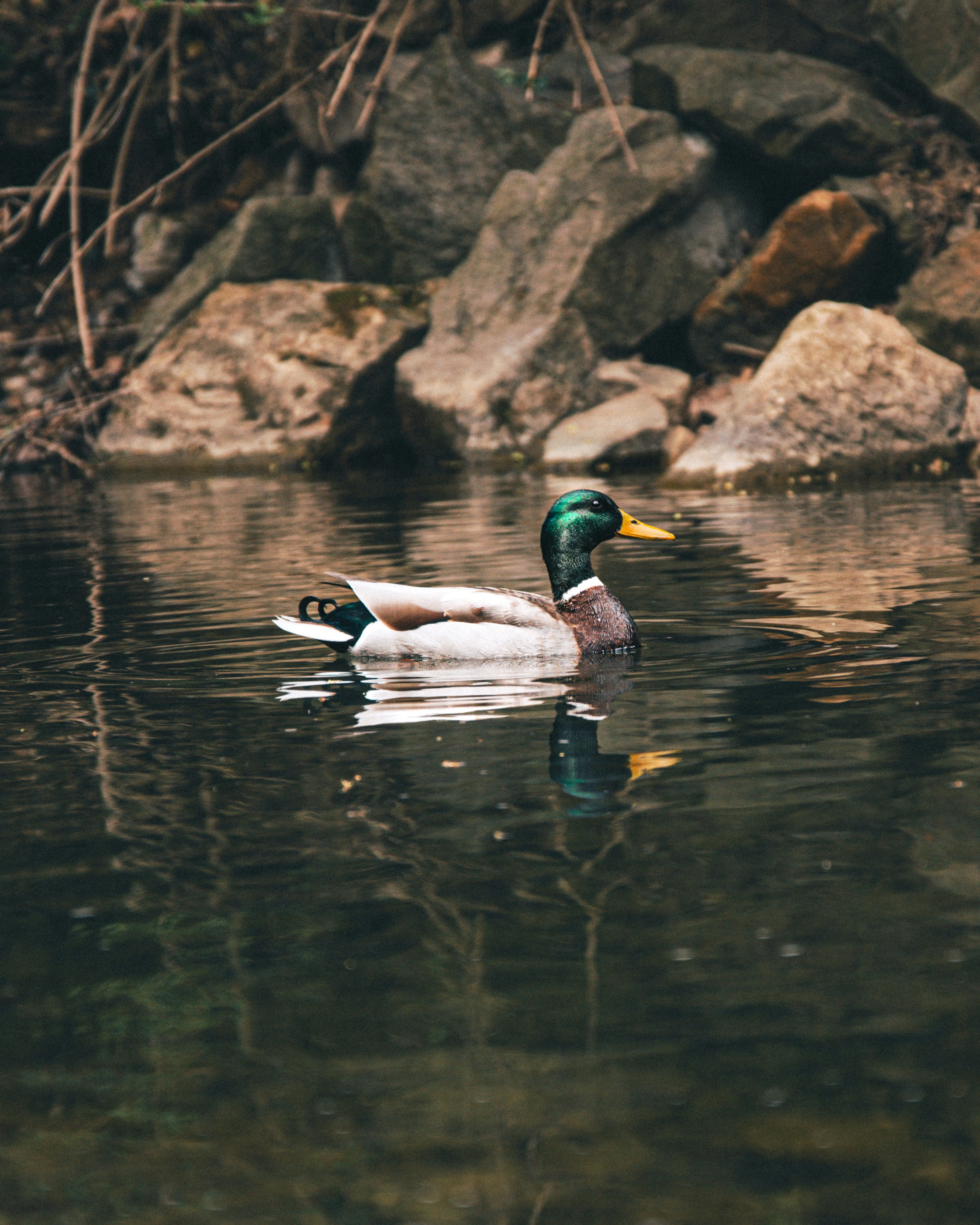 Photo by storywright