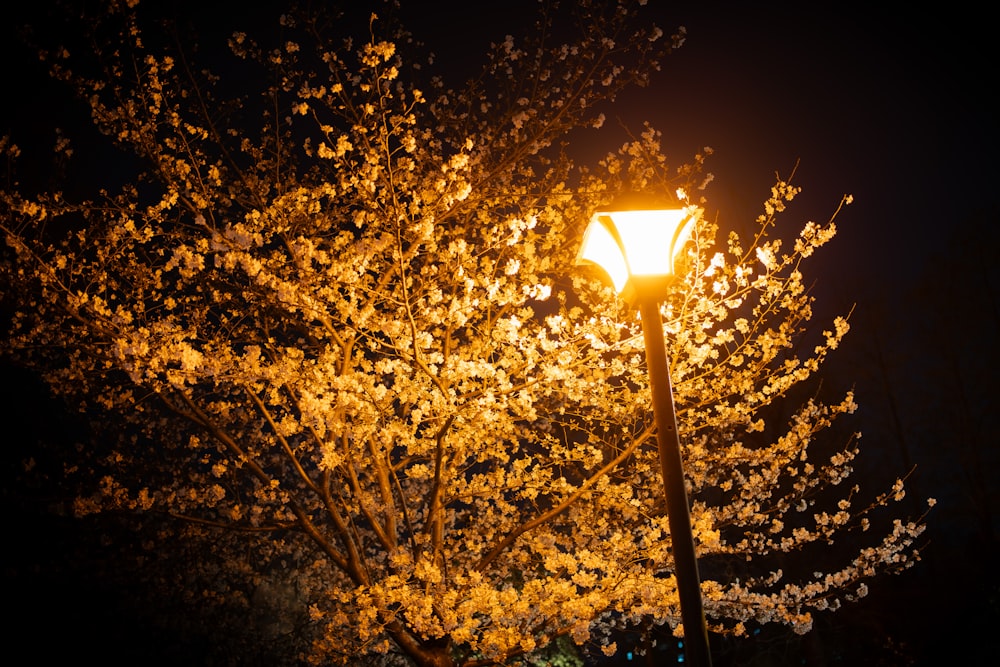 a street light with a tree in the background