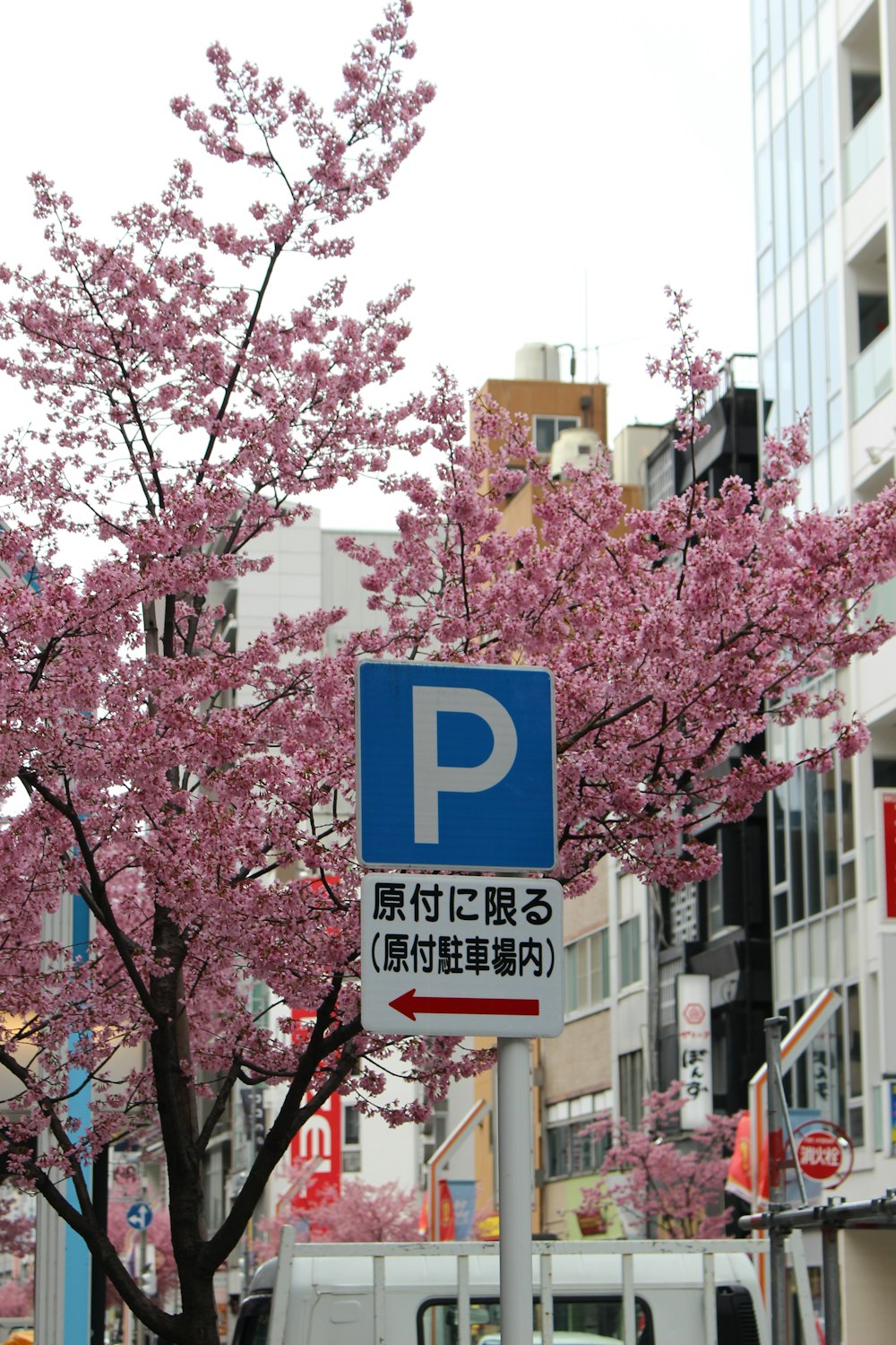 a blue parking sign sitting on the side of a road