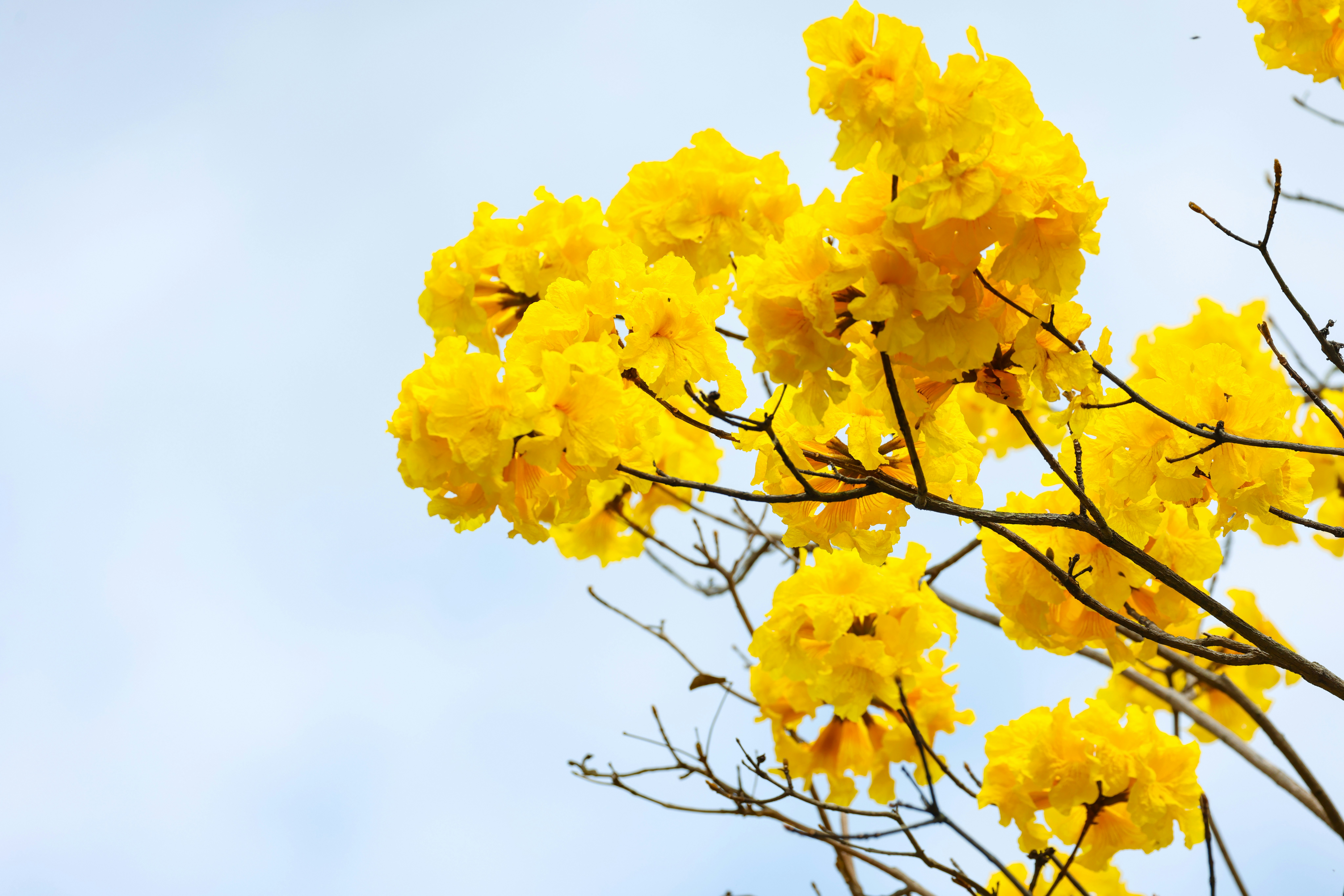 Photo by dickenslin76