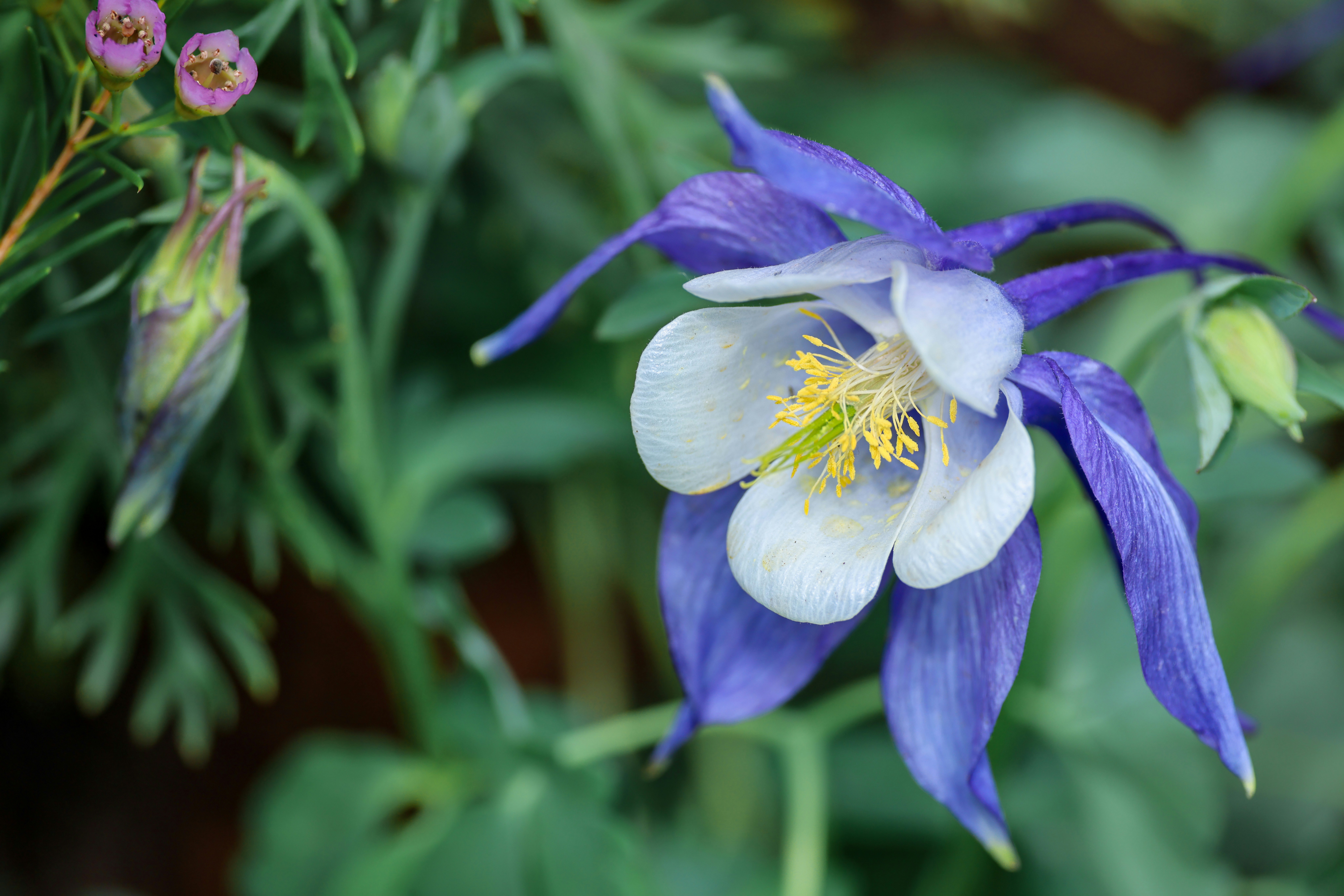 Photo by dickenslin76