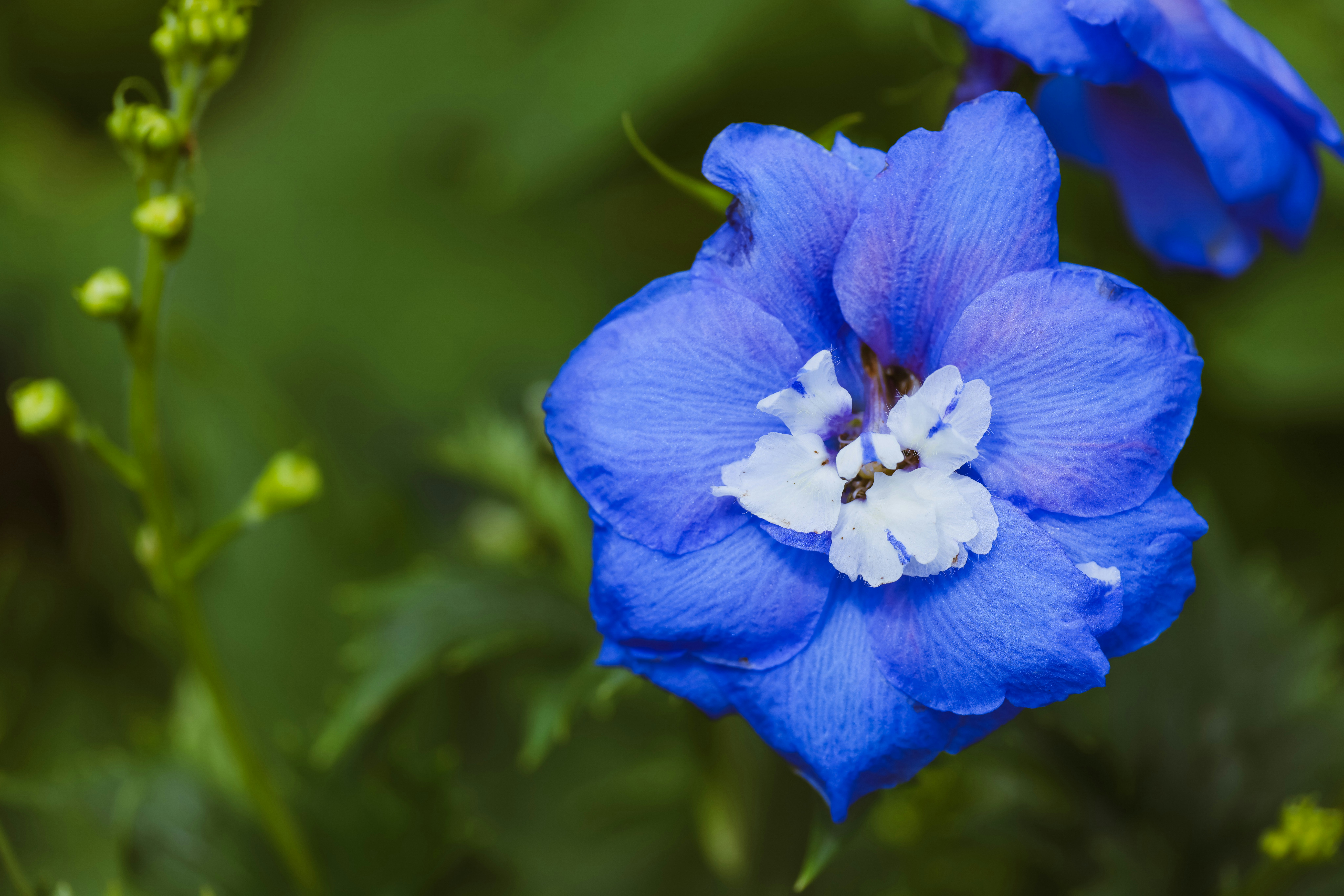 Photo by dickenslin76