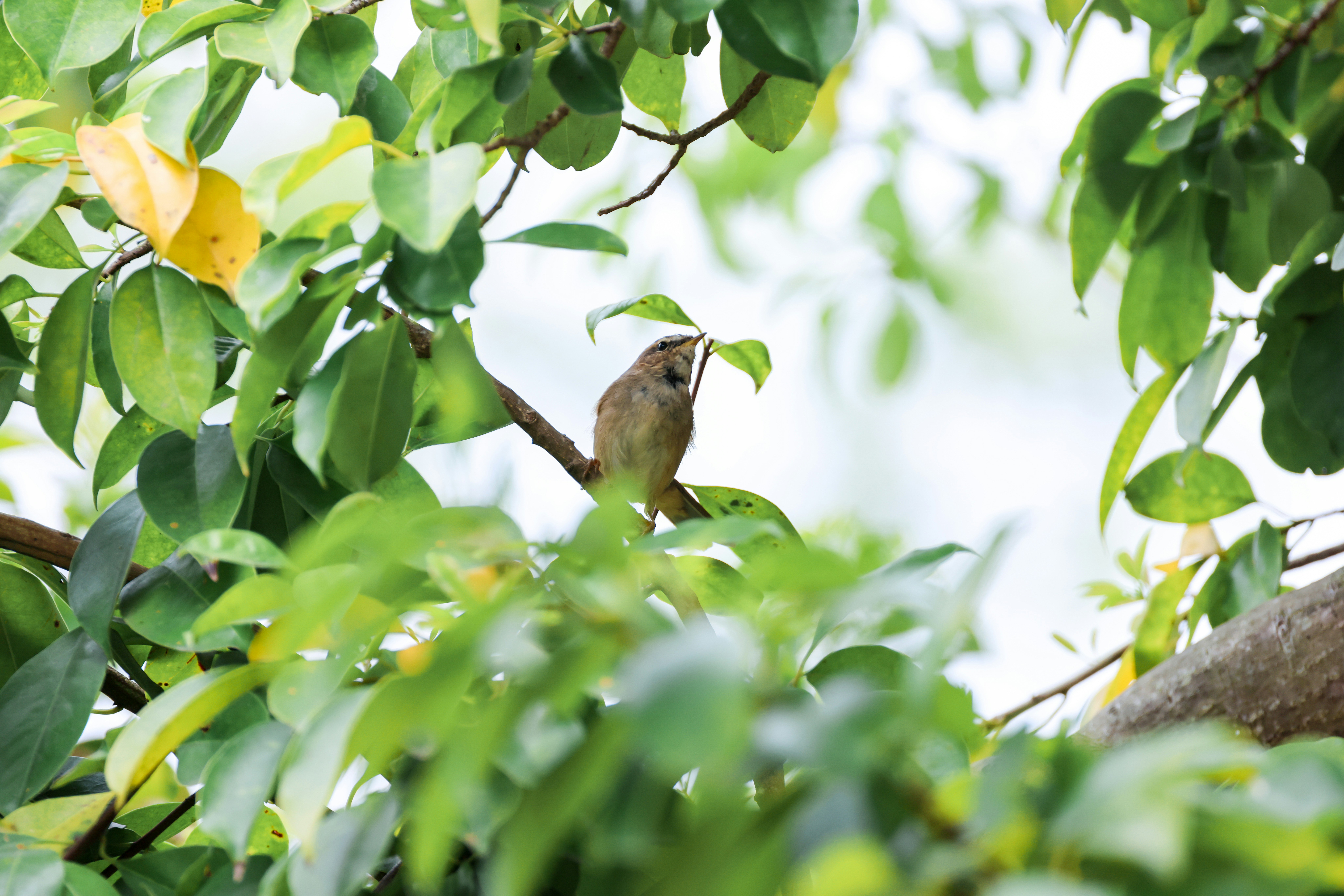 Photo by dickenslin76