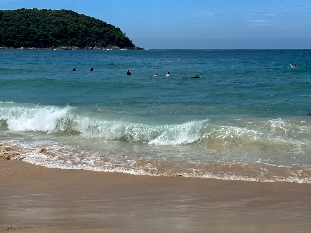 a group of people swimming in the ocean