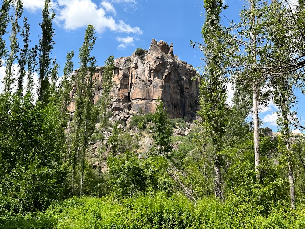 a large rock formation in the middle of a forest